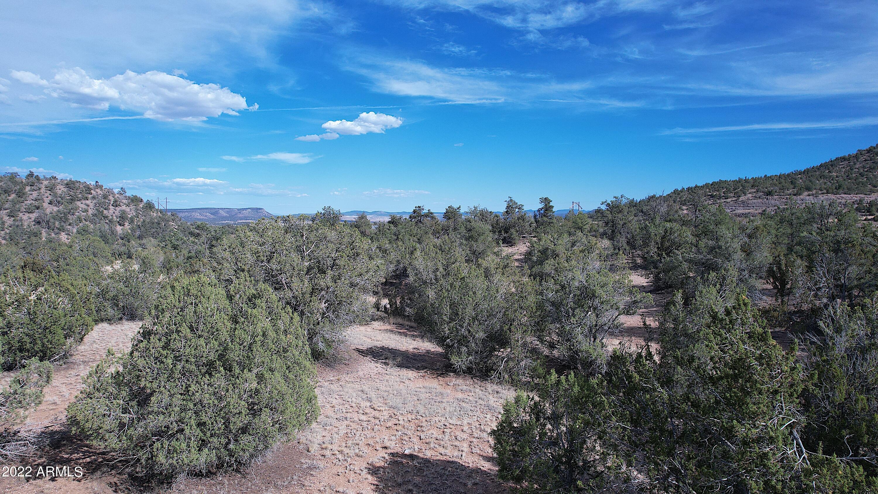 Easy access to property car no 4x4 needed,  trees, backs up to mountain, open meadows, easy access roads. 20 min from town. Shopping, entertainment, dining.