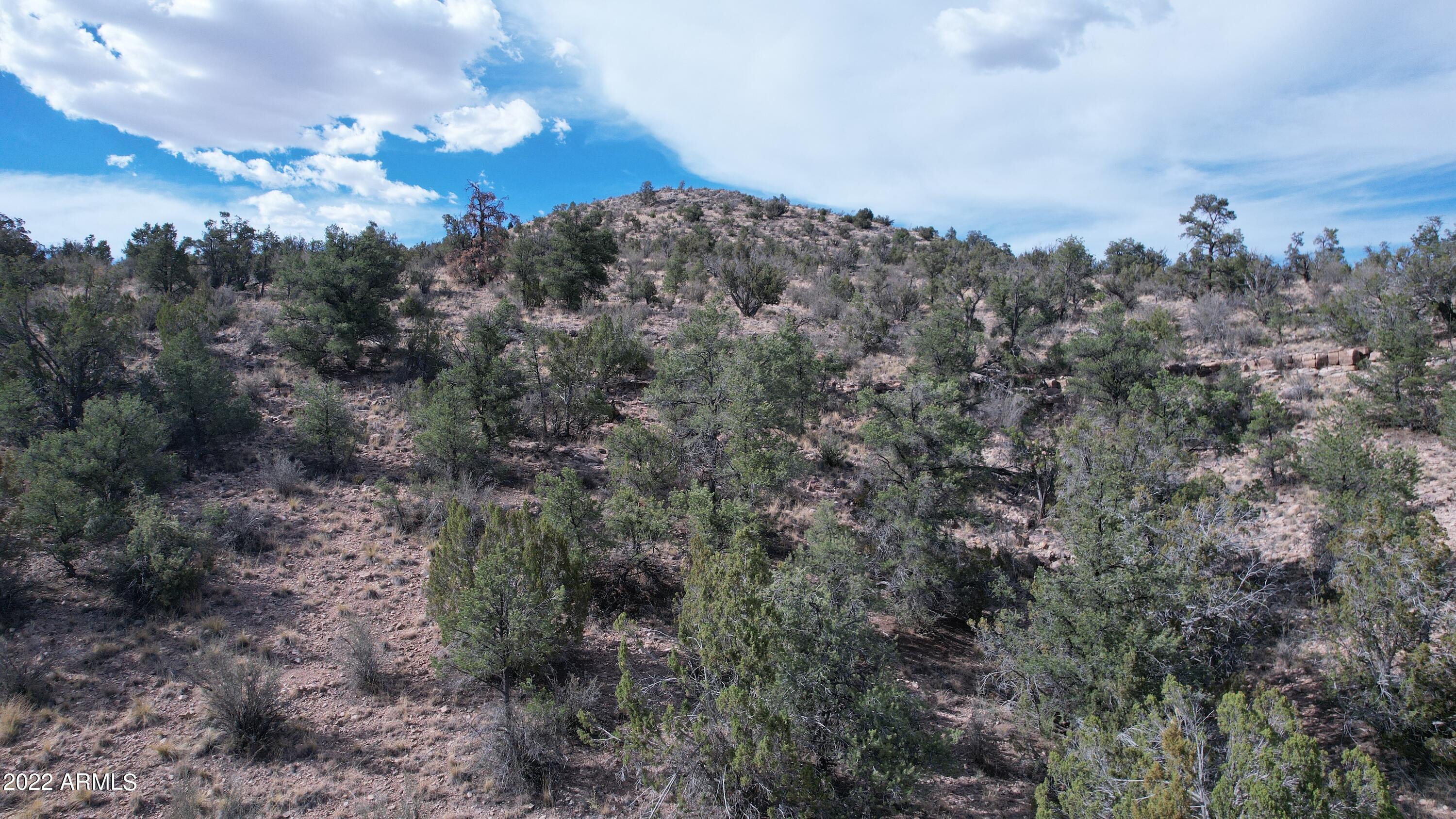 BRIDGE CANYON COUNTRY ESTATES UNIT 10 - Land