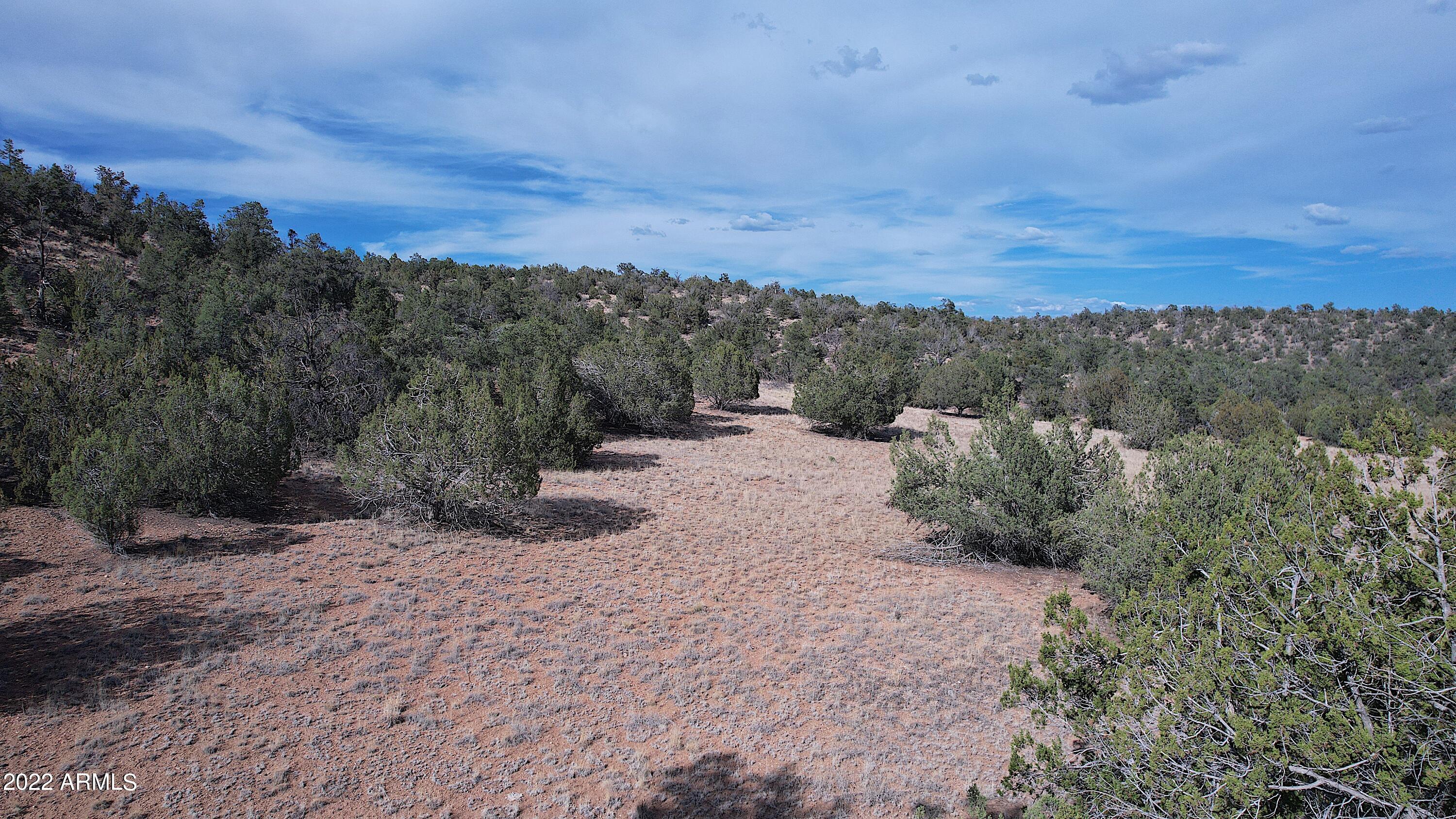 BRIDGE CANYON COUNTRY ESTATES UNIT 10 - Land