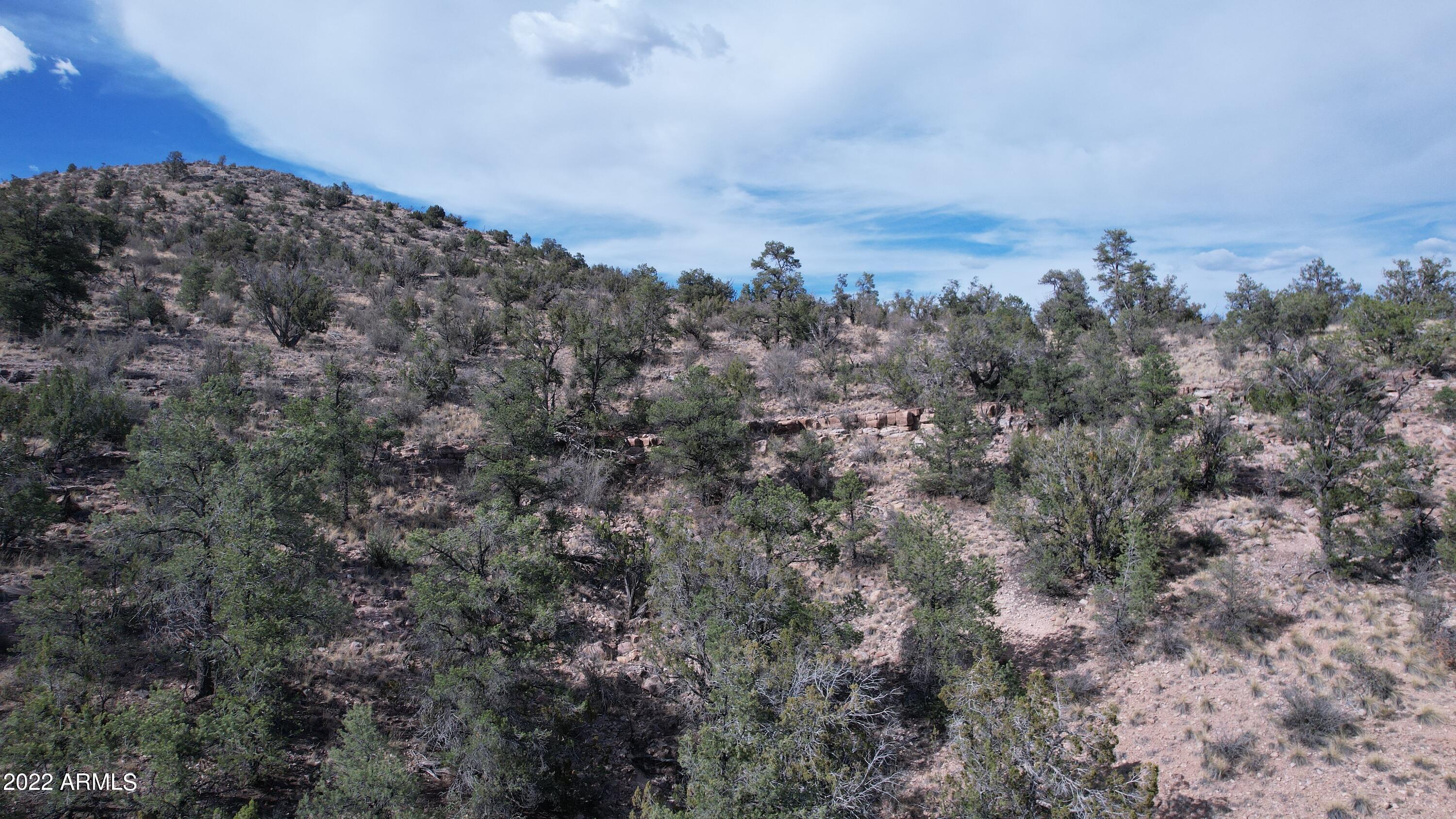 BRIDGE CANYON COUNTRY ESTATES UNIT 10 - Land