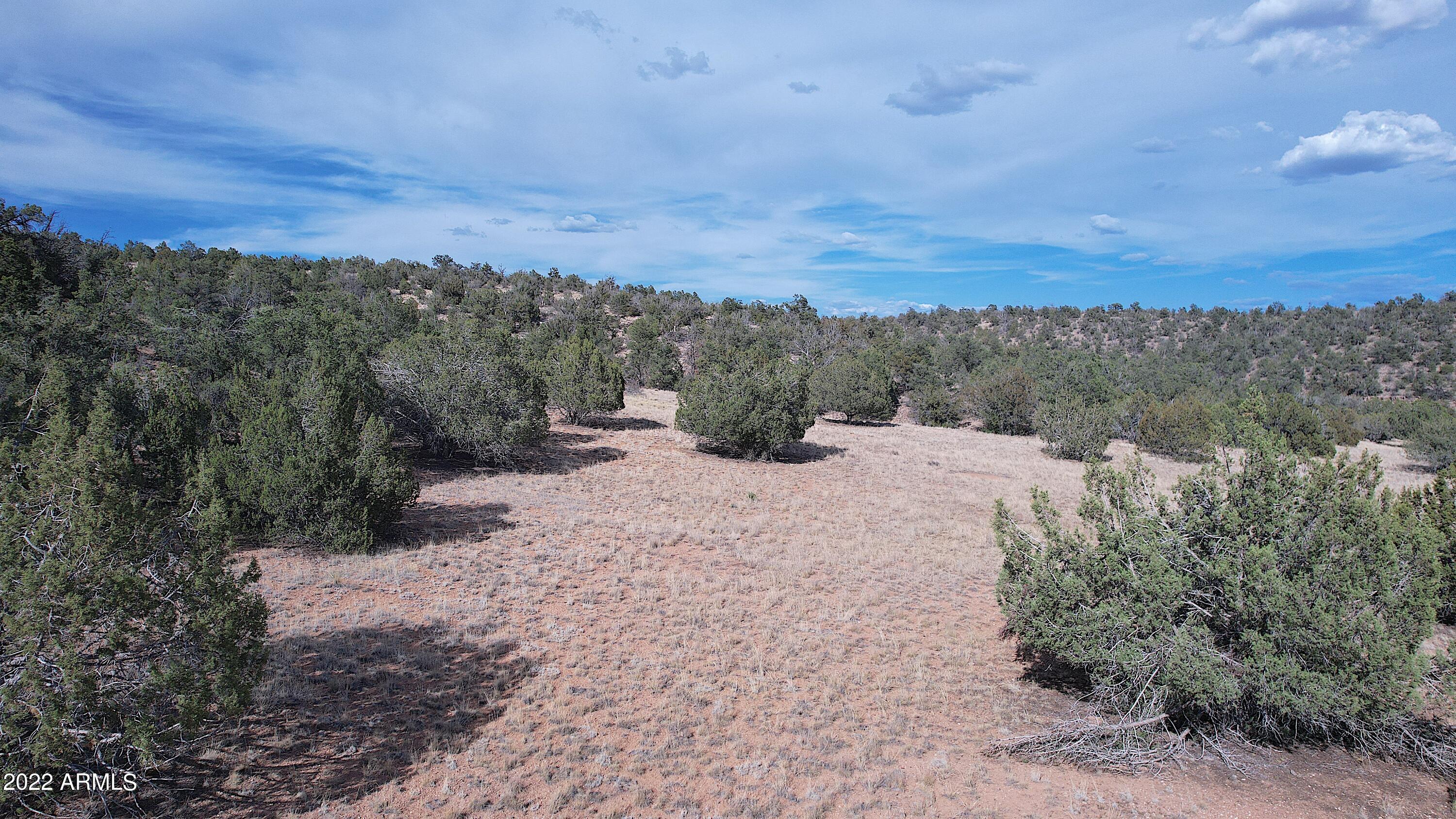 BRIDGE CANYON COUNTRY ESTATES UNIT 10 - Land
