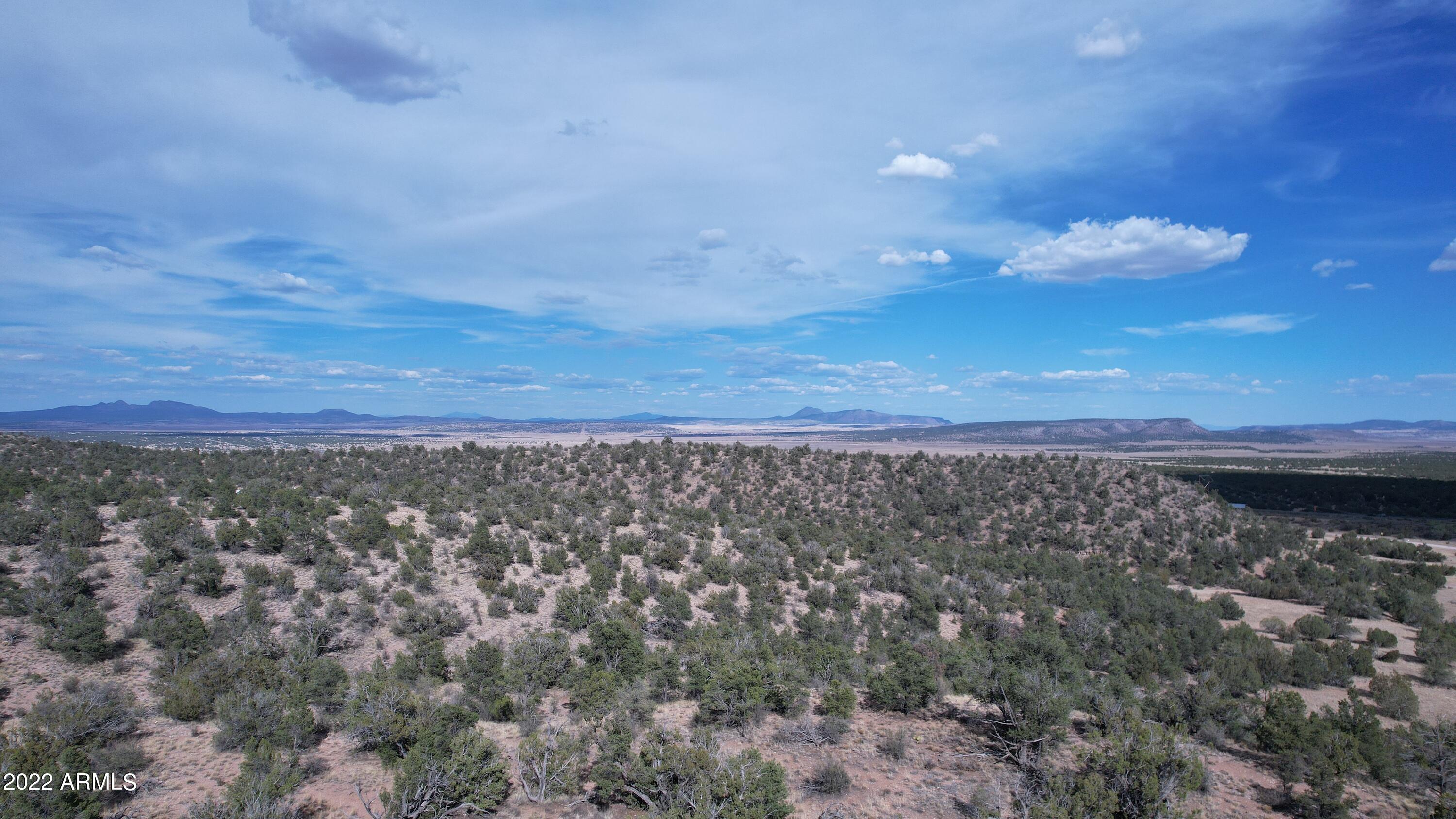 BRIDGE CANYON COUNTRY ESTATES UNIT 10 - Land