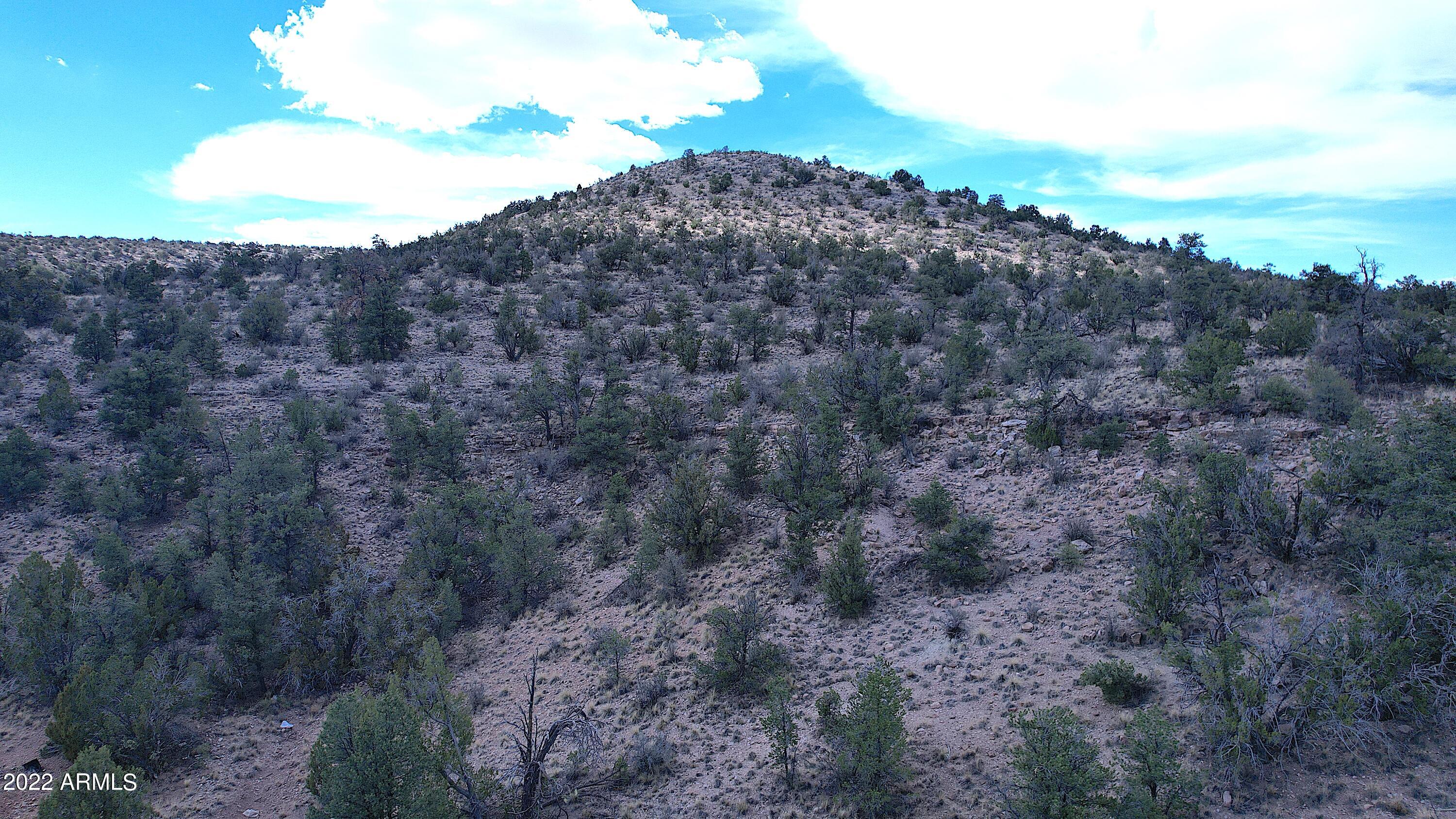 BRIDGE CANYON COUNTRY ESTATES UNIT 10 - Land