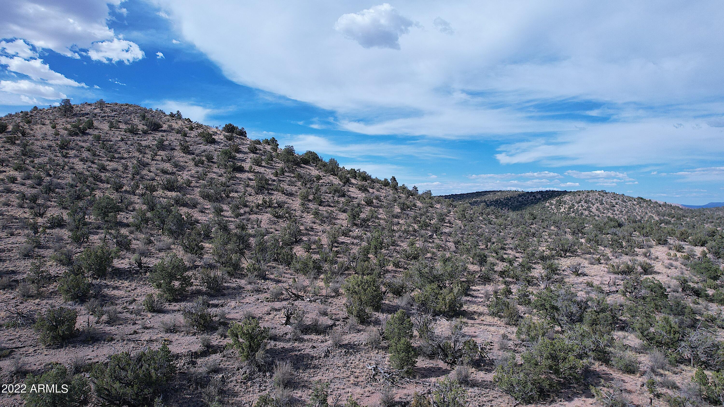 BRIDGE CANYON COUNTRY ESTATES UNIT 10 - Land