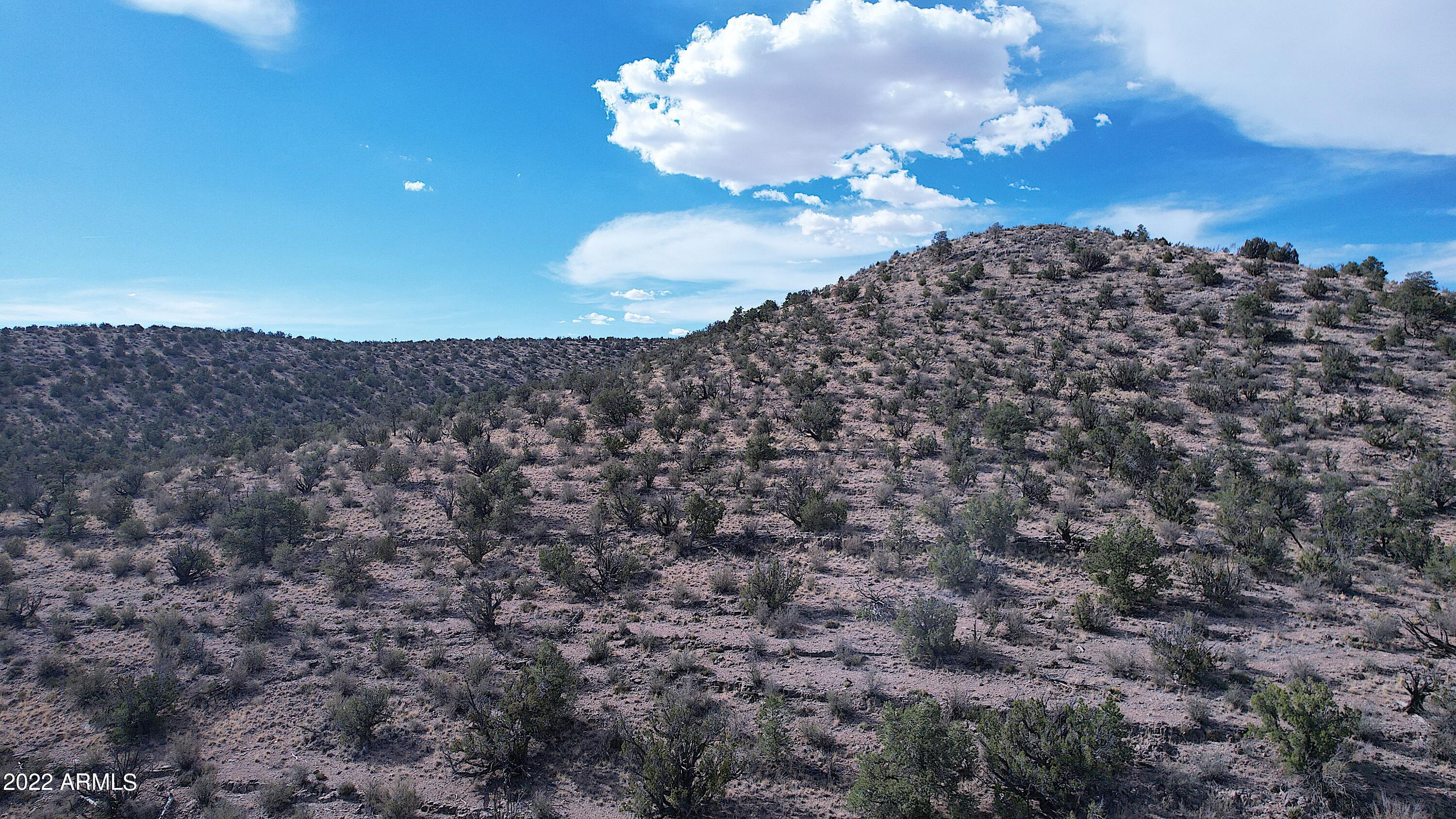 BRIDGE CANYON COUNTRY ESTATES UNIT 10 - Land