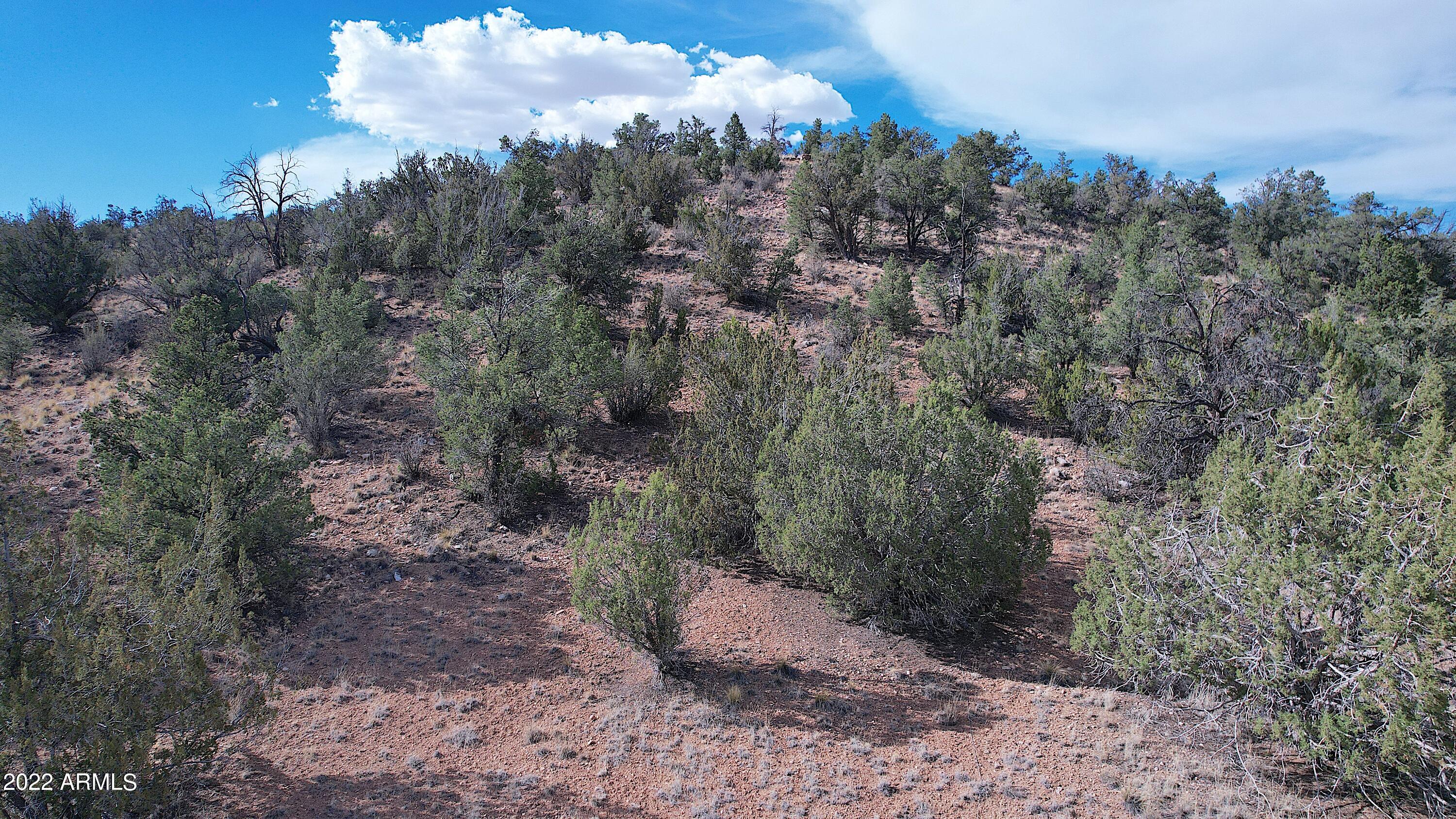 BRIDGE CANYON COUNTRY ESTATES UNIT 10 - Land