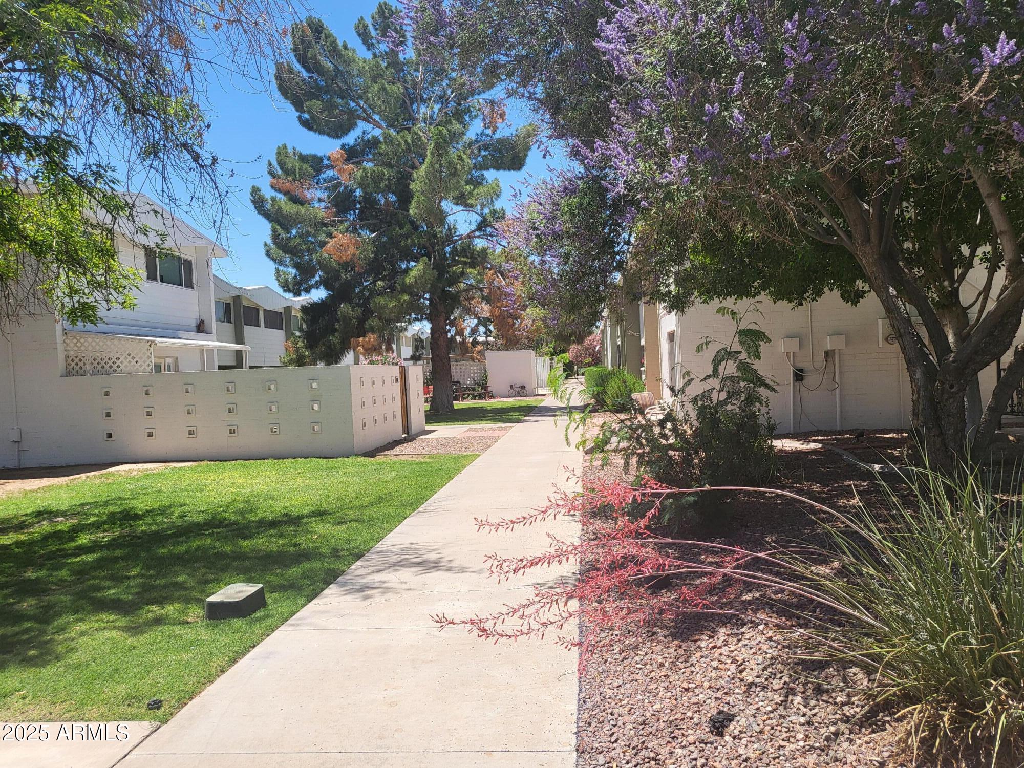 CONSOLIDATED COOPERATIVES OF SCOTTSDALE EAST - Residential