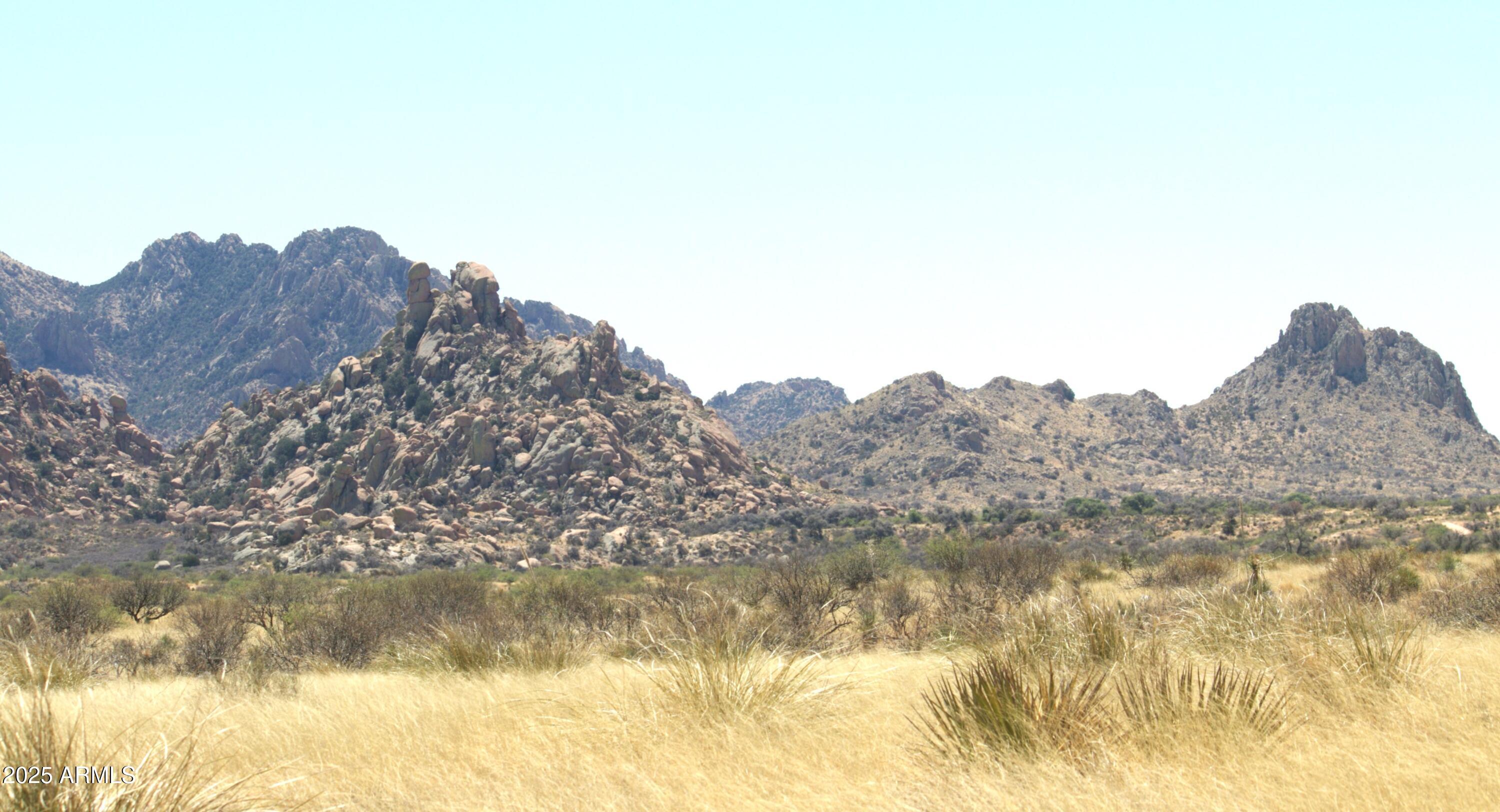 DRAGOON MOUNTAIN RANCH 1 - Land