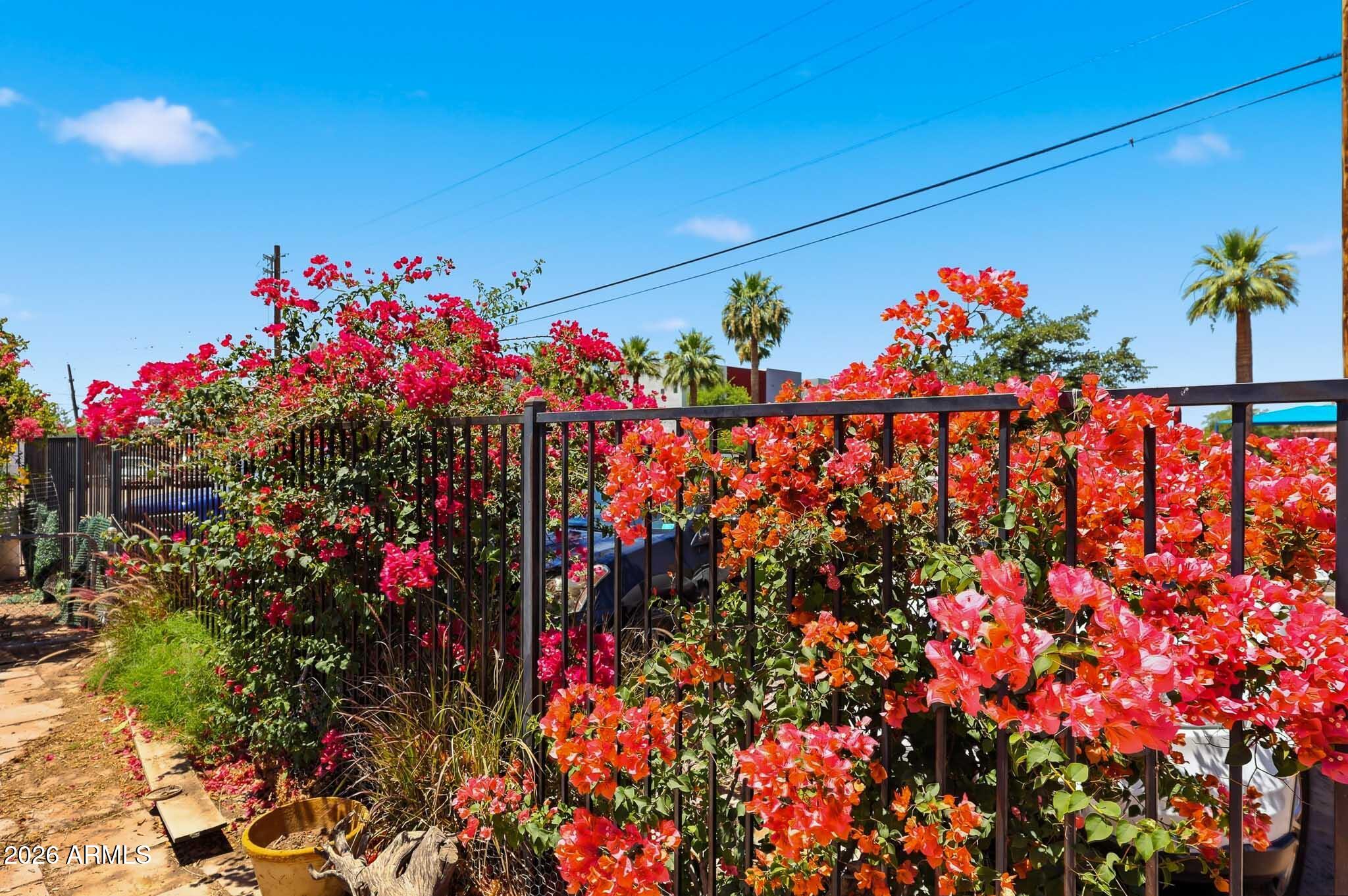 PALOMINO ESTATES - Residential Income