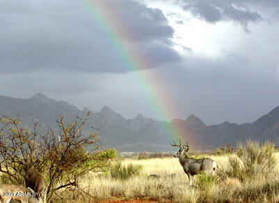 DRAGOON MOUNTAIN RANCH - Land