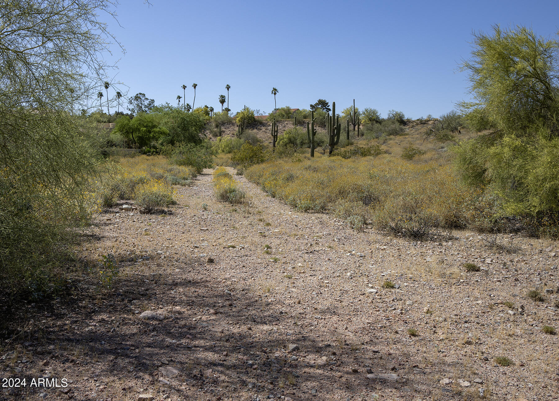 Fountain Hills AZ FP 605B, Lot 1 - Land