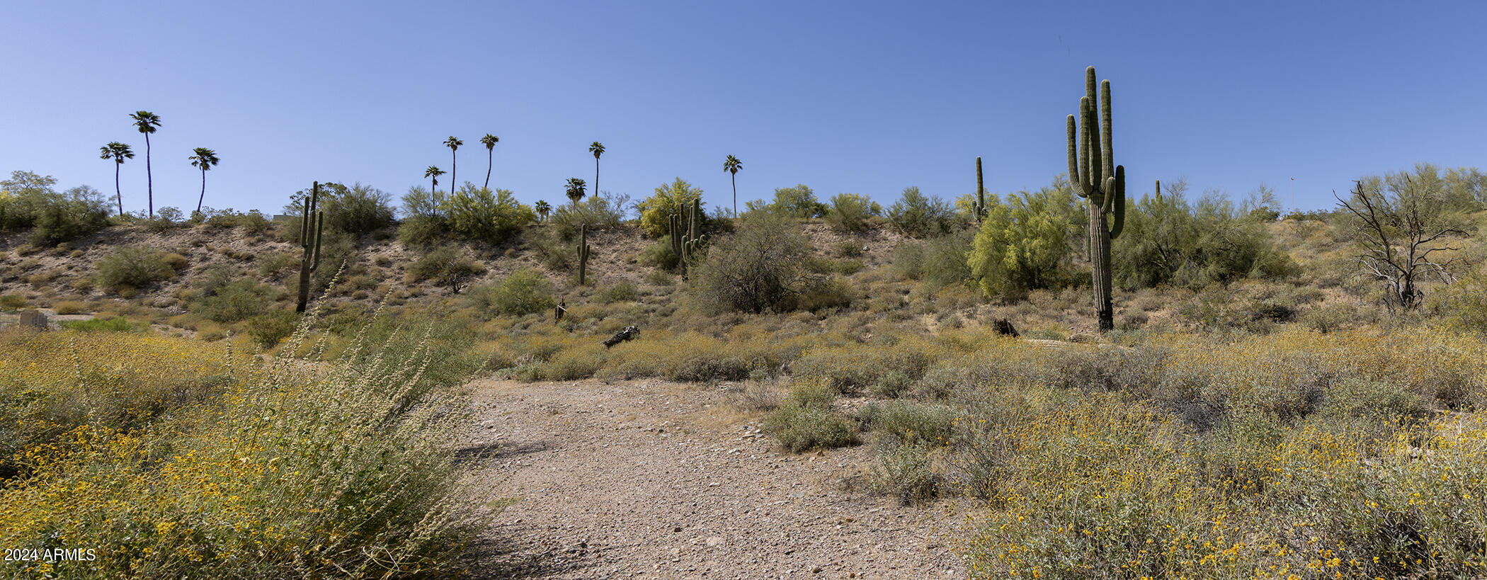Fountain Hills AZ FP 605B, Lot 1 - Land