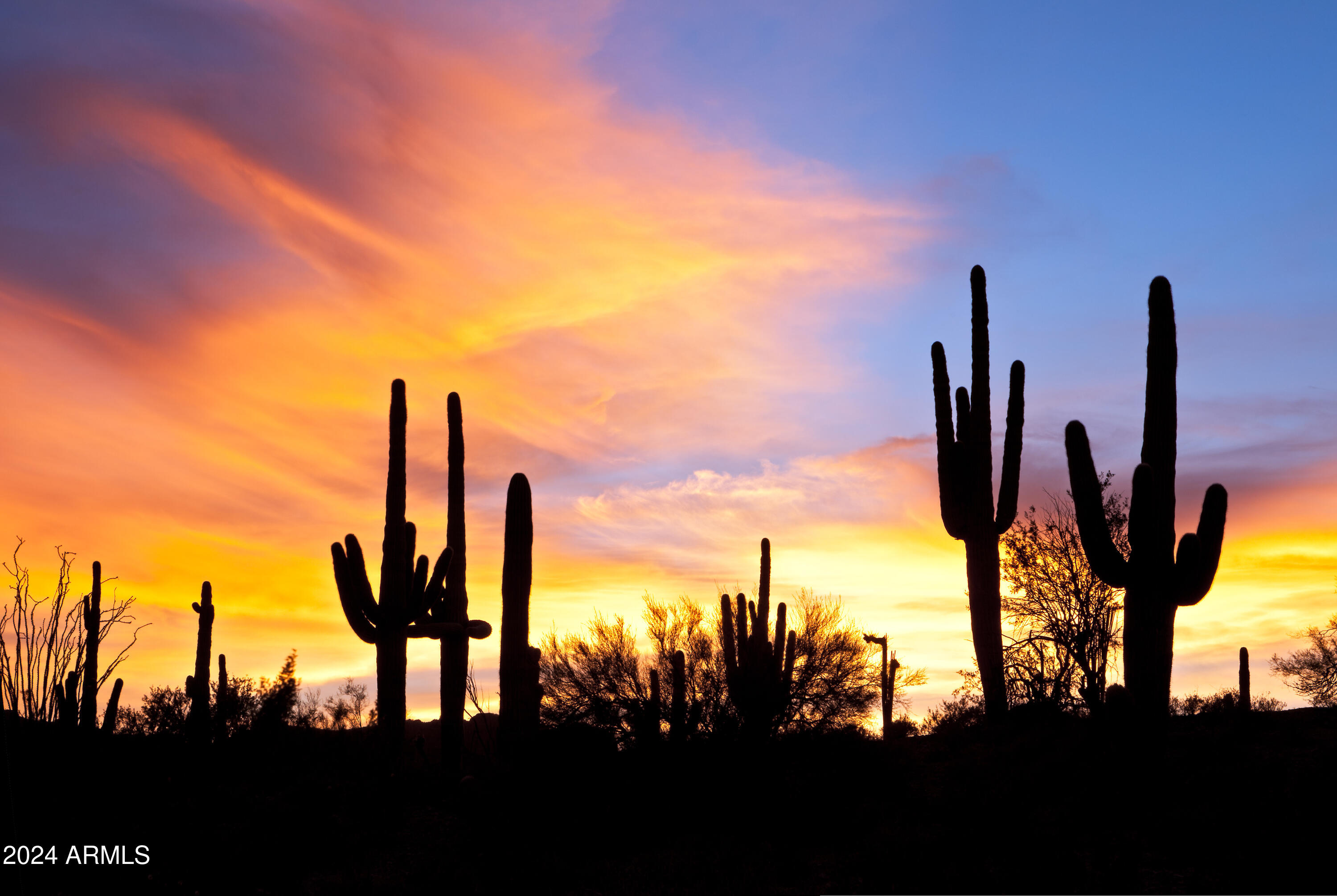 FOUNTAIN HILLS ARIZONA LOTS 19 AND 20 BLOCK 2 REPL - Residential
