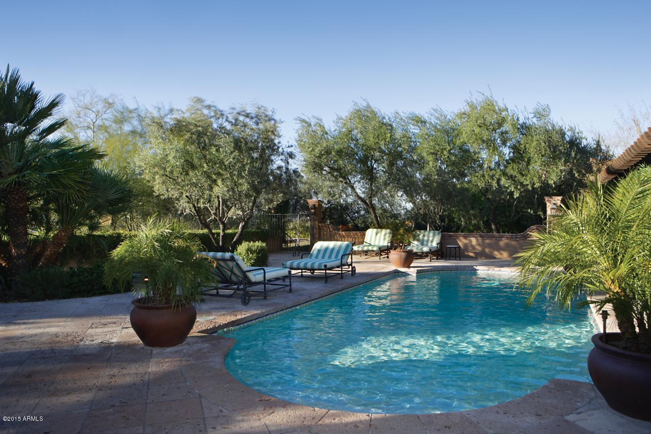 Paradise Canyon Foothills - Residential