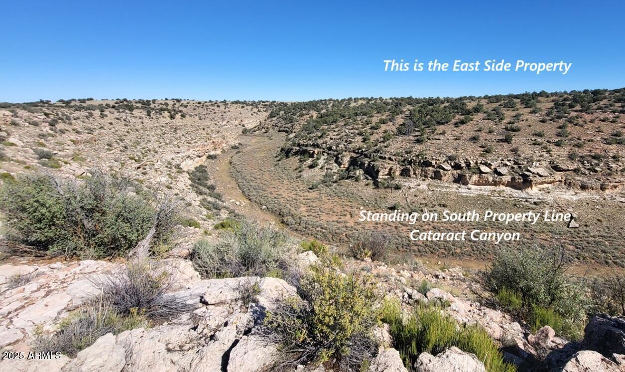200 Acres, Ranch Land. Cataract Canyon runs through east side of property. Views of San Francisco Peaks. Has established watershed with cattle Tank 22, on property. Nice meadowed land with small watershed and Cataract Canyon with absolutely staggering views. There are no HOAs. Come start your own outback secluded Ranch Homestead.