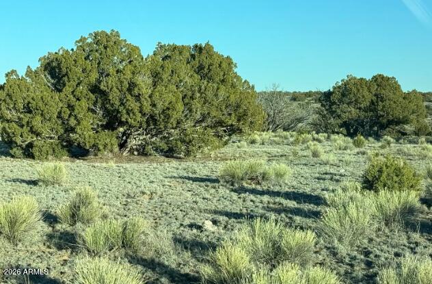 WOODLAND VALLEY RANCH UNIT 8 - Land