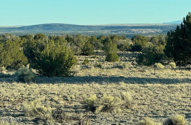 WOODLAND VALLEY RANCH UNIT 8 - Land