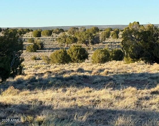 WOODLAND VALLEY RANCH UNIT 8 - Land