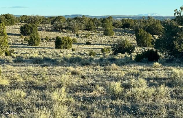 WOODLAND VALLEY RANCH UNIT 8 - Land