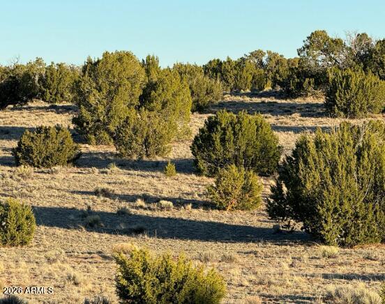 WOODLAND VALLEY RANCH UNIT 8 - Land