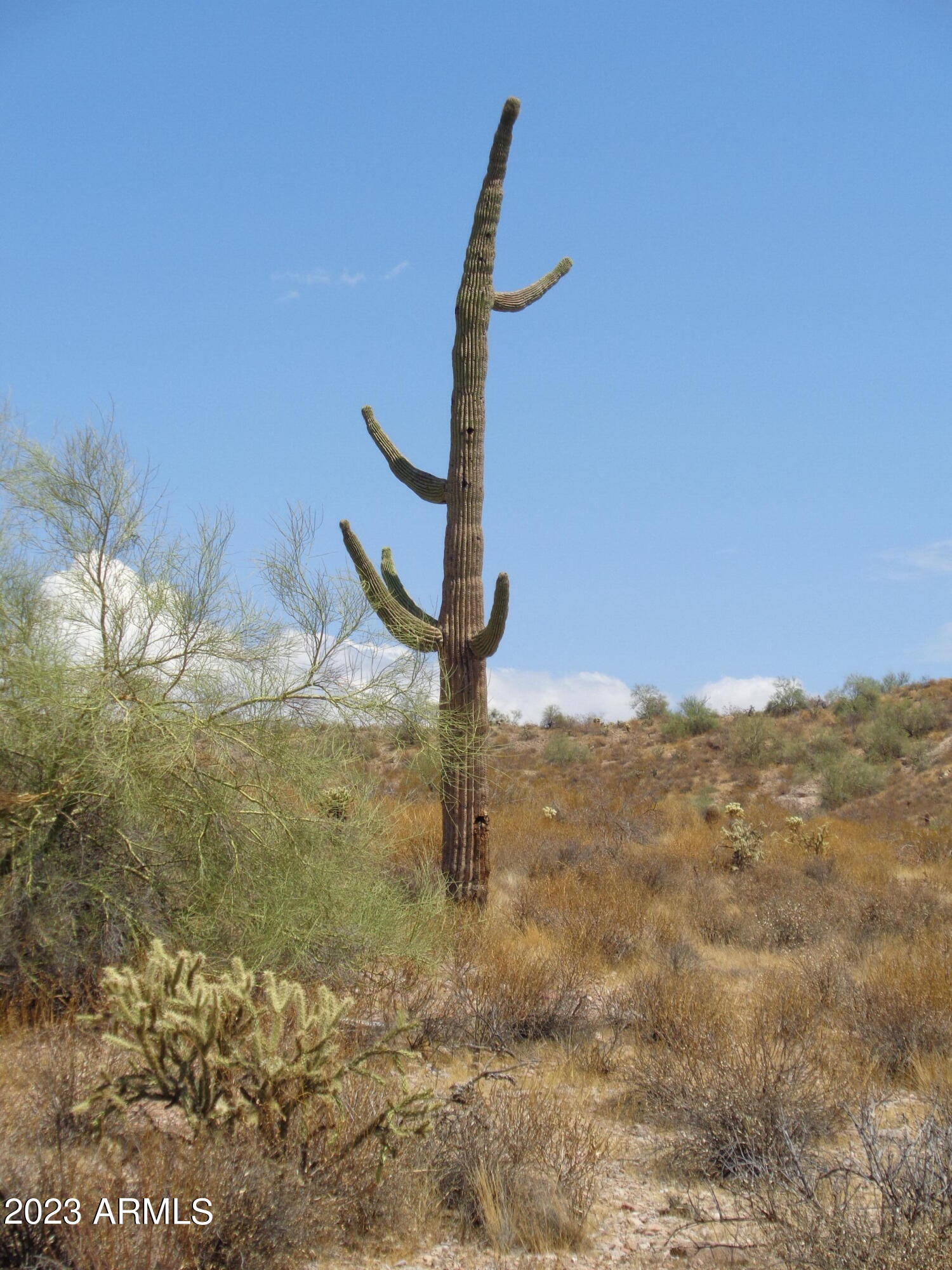 Goldfield Ranch Phase 2 - Land