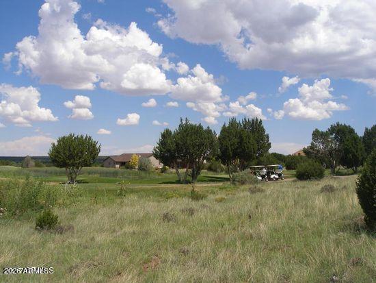 WHITE MOUNTAIN LAKES UNIT 1 - Land