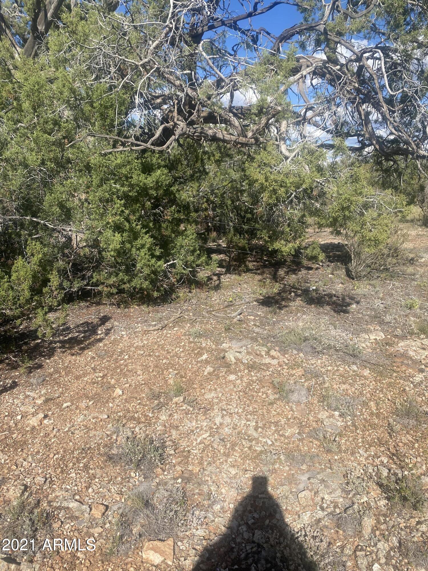 BRIDGE CANYON COUNTRY ESTATES UNIT 24 - Land
