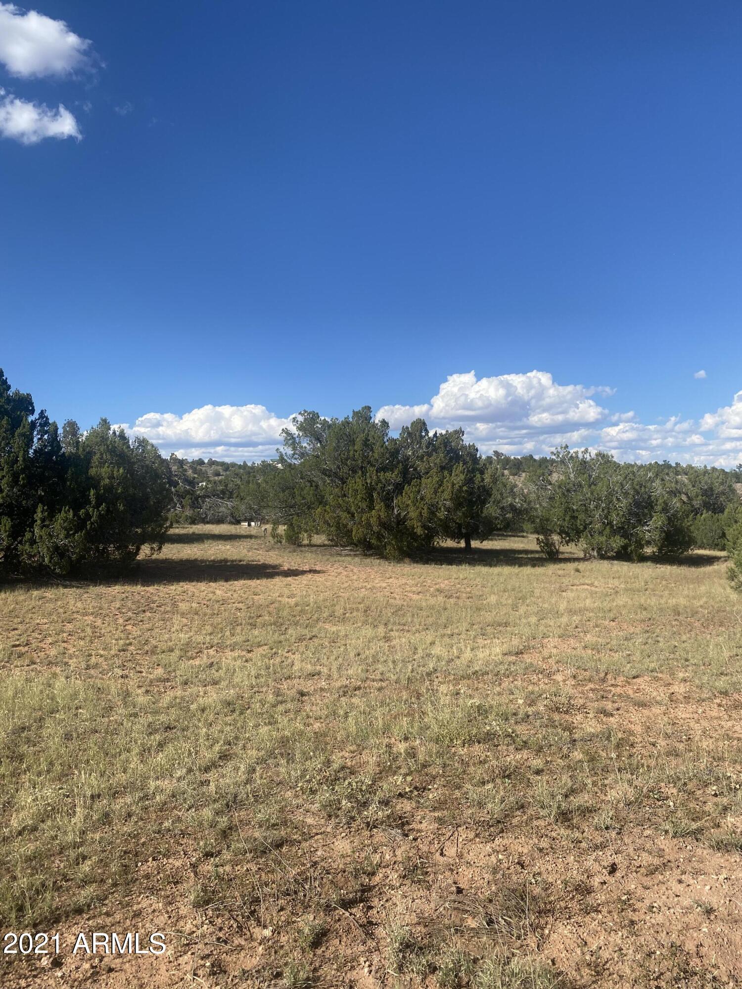 This 1.48 acre lot with mountain views. a good amount of trees is 30 minutes from town, can drive a car to this location, there are  2 parcels are available.