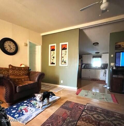Ironwood MHP - Residential