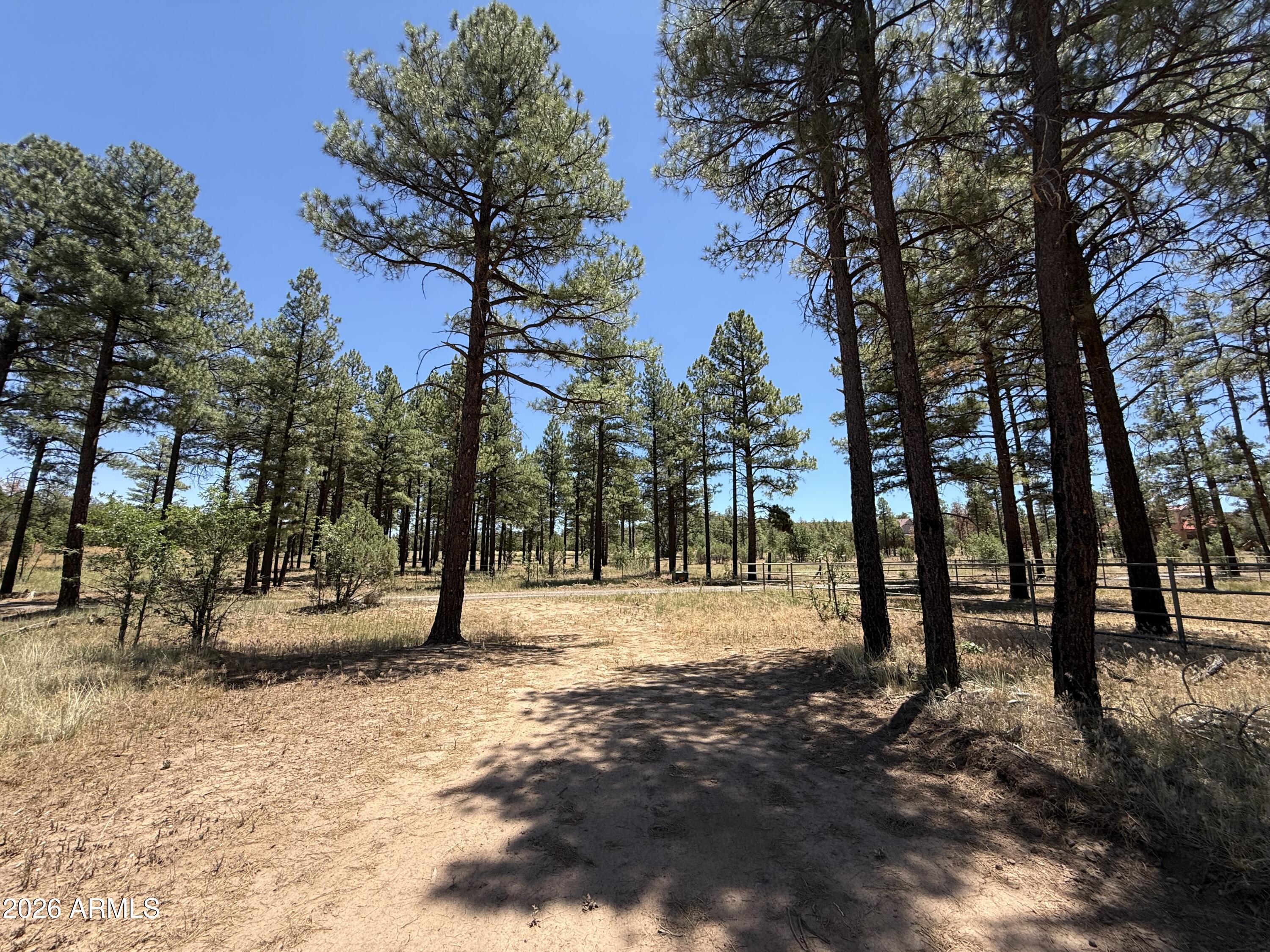 Beautiful wooded lot in the pines of Show Low, Arizona, offering the perfect setting for a mountain cabin, vacation getaway, or full-time home. This property features a newly installed septic system and electric power available at the lot line, providing a great head start for future development. Enjoy the privacy and beauty of mature pine trees while remaining close to shopping, dining, lakes, hiking trails, and other local amenities. this land is an excellent opportunity to own a piece of Arizona's White Mountains and create your ideal retreat!