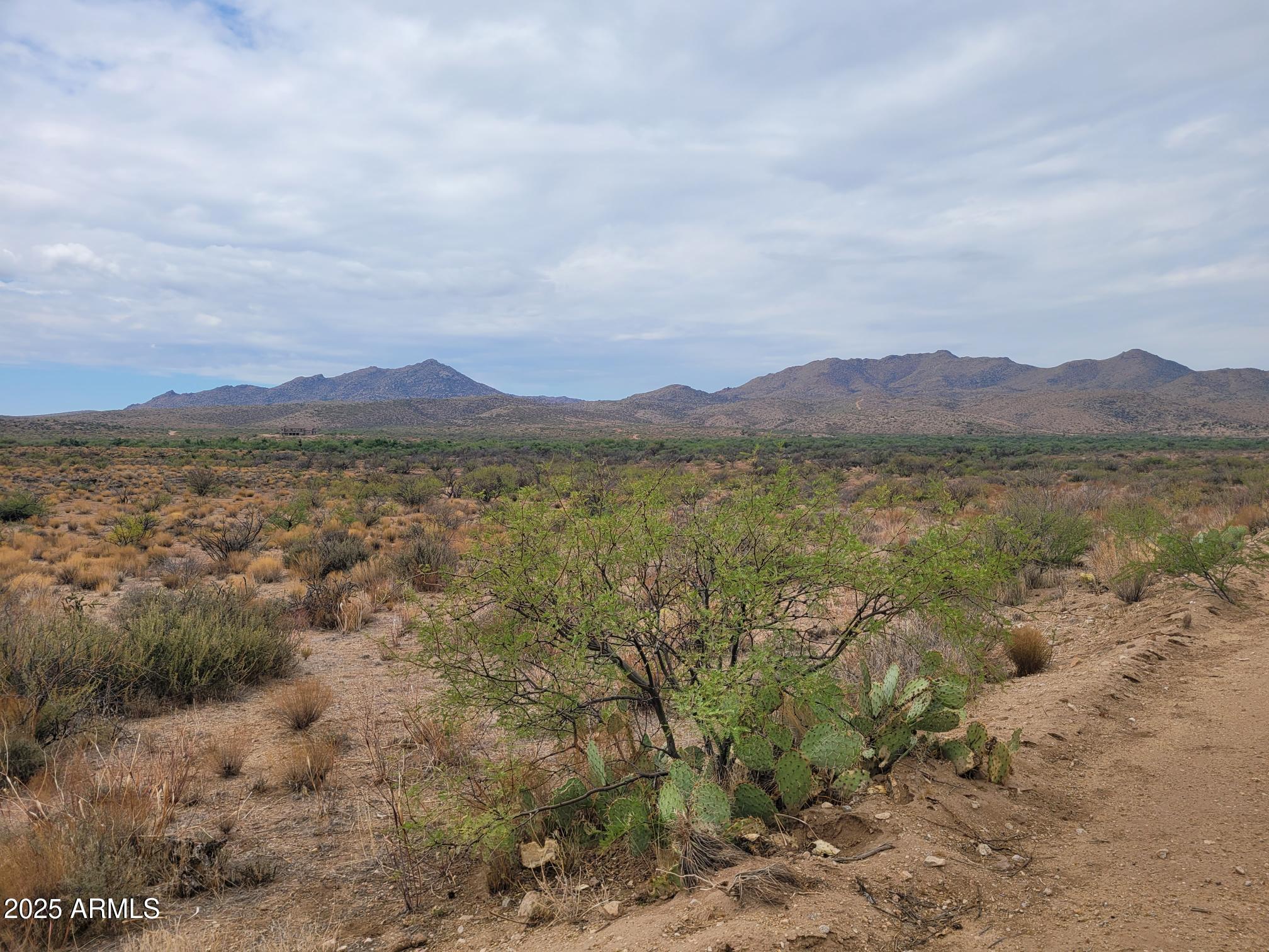 SELLER FINANCING AVAILABLE! Lots 40 & 41 totaling 83.38 acres located in Saddle Creek Ranch III. Must buy both lots together, seller will not split. Lot 40 has a great well! This pristine desert land is at a 3,400 foot elevation and both properties border Arizona State Trust land. APS power available! This phase of Saddle Creek Ranch is zoned for ''site built homes only''. All the decomposed granite roads in Saddle Creek Ranch III subdivision are maintained by the Saddle Creek Property Owners Association. Date Creek Rd is maintained by Yavapai County. Embraced in the foothills of the Weaver Mountains and along Sunflower Flats, this land is a haven of beauty. Use the property for a full-time gentleman's ranch, retirement home, or weekend getaway. Located between Wickenburg and Prescott,... this stunning Arizona land, offers an unmatched quality of life with good abundant ground water per developer. Only 17% of AZ land is owned privately, the rest is owned by the government and Native American Indian reservation. Terms are 20% down payment, 4-year note amortized over 20 years, monthly payment at 7% interest, balloon payment due at the end of the 4th year, no pre-payment penalty! Buyer pays for account servicing set up and monthly service fee, all other closing costs are normal. Owner has a grazing lease with the local rancher to lower the tax rate. The grazing lease does not transfer with new ownership. New owner must reapply with the rancher and County Assessor. APN#s are 202-19-006G (Lot 40) and 202-19-006P (Lot 41).