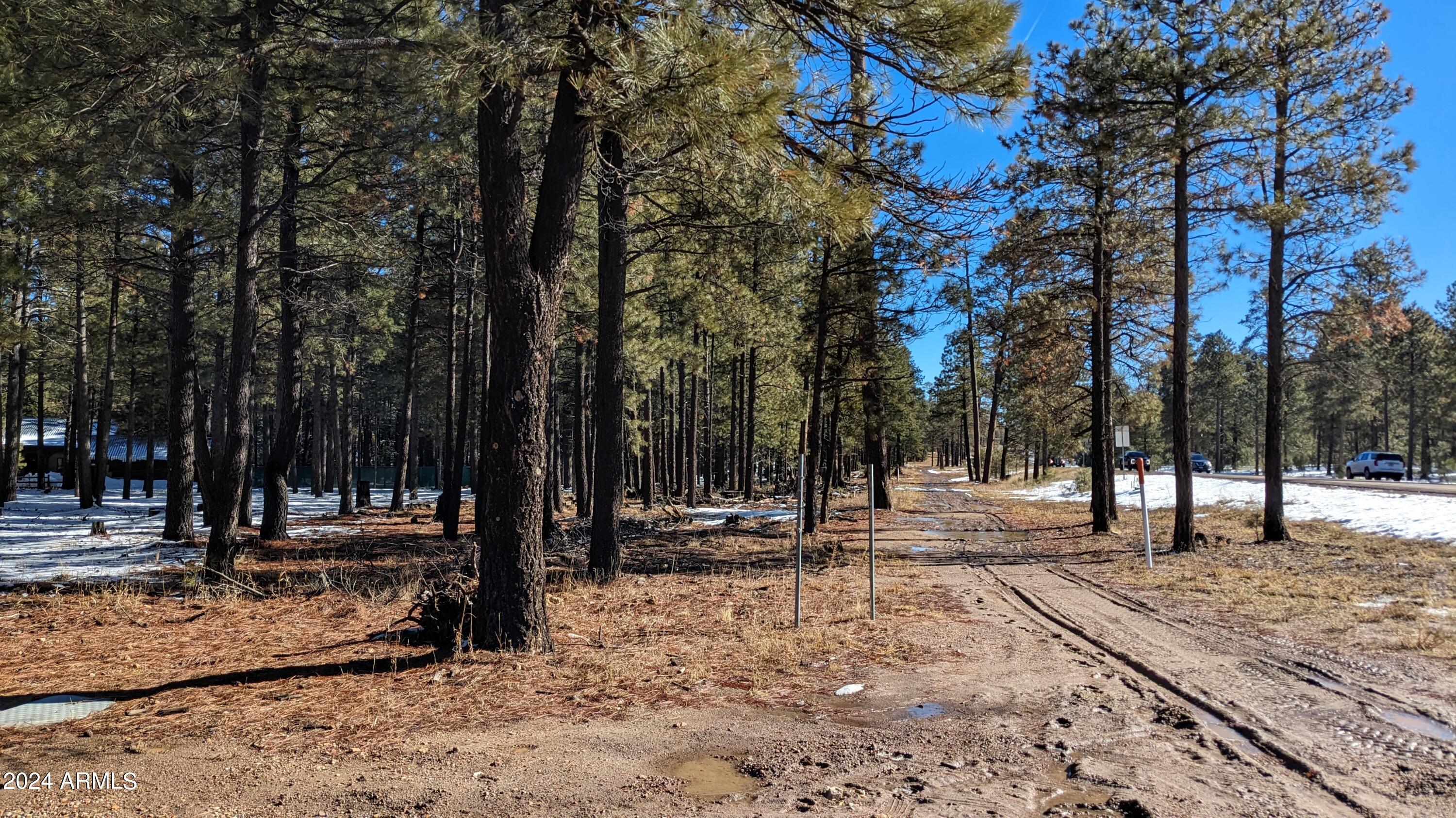 FOREST LAKES ESTATES 4 - Land