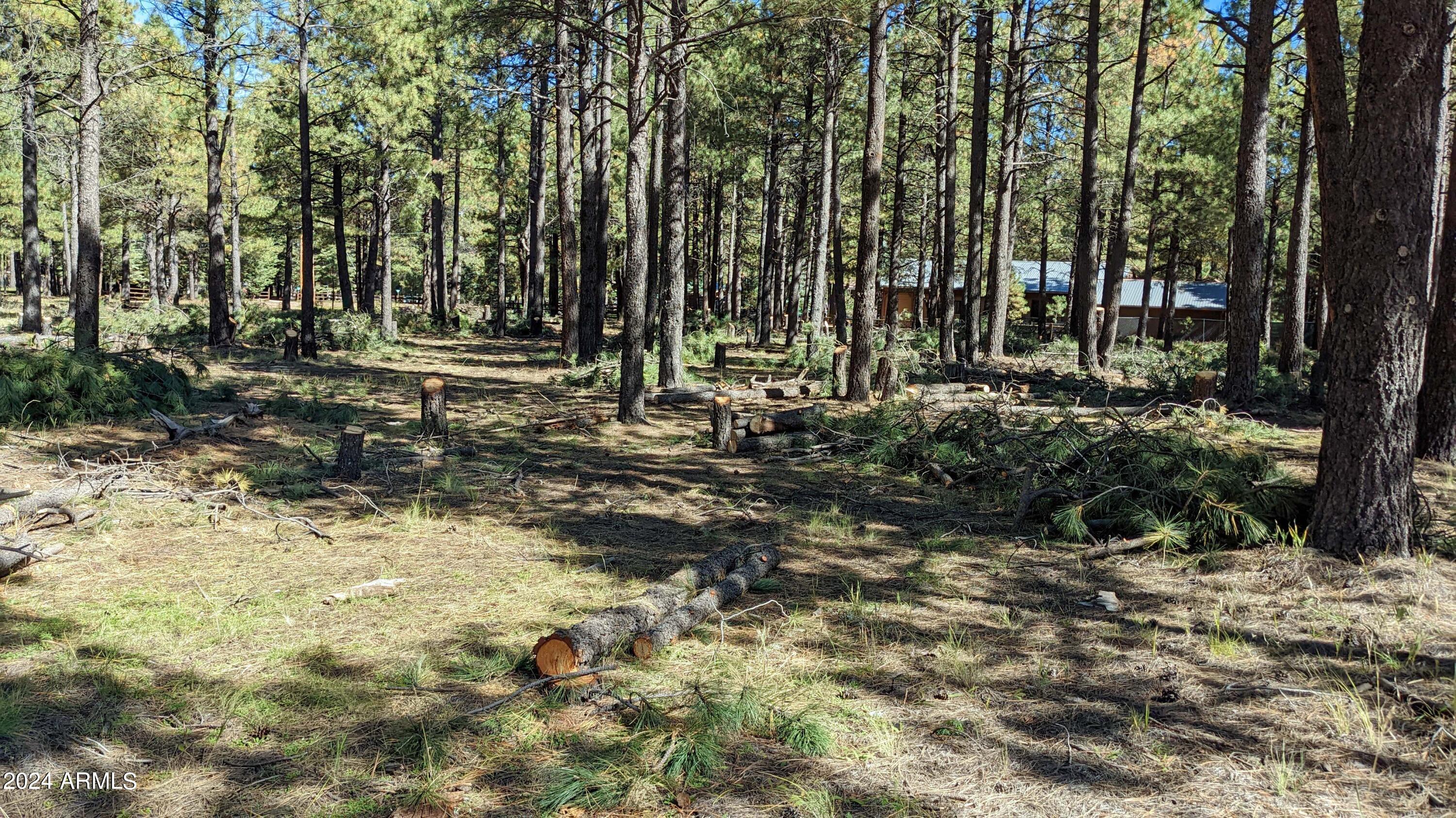 FOREST LAKES ESTATES 4 - Land