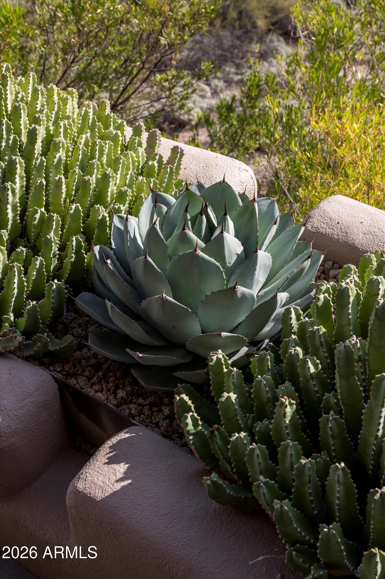 DESERT MOUNTAIN - Residential