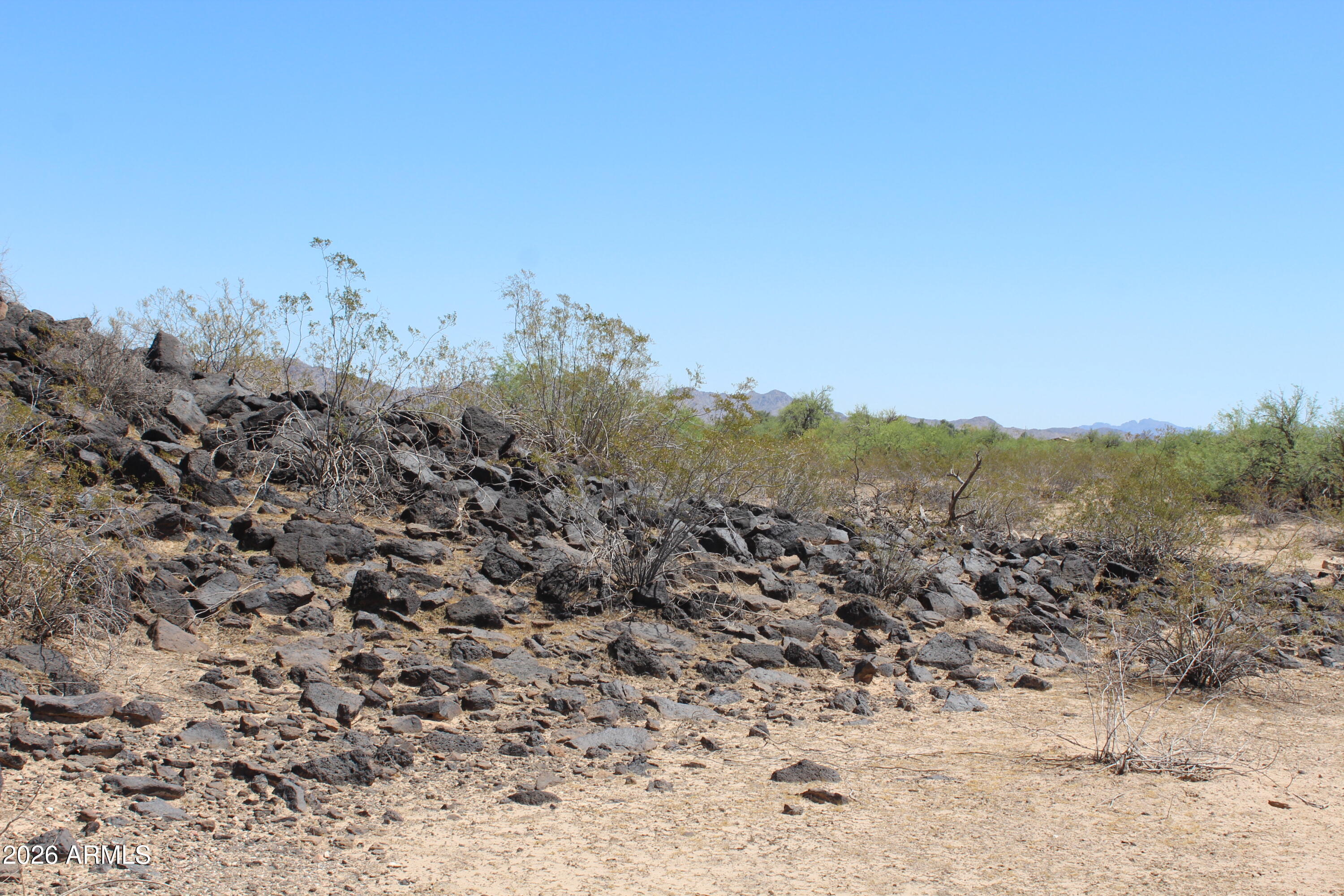 ARLINGTON FARMS AMD - Land