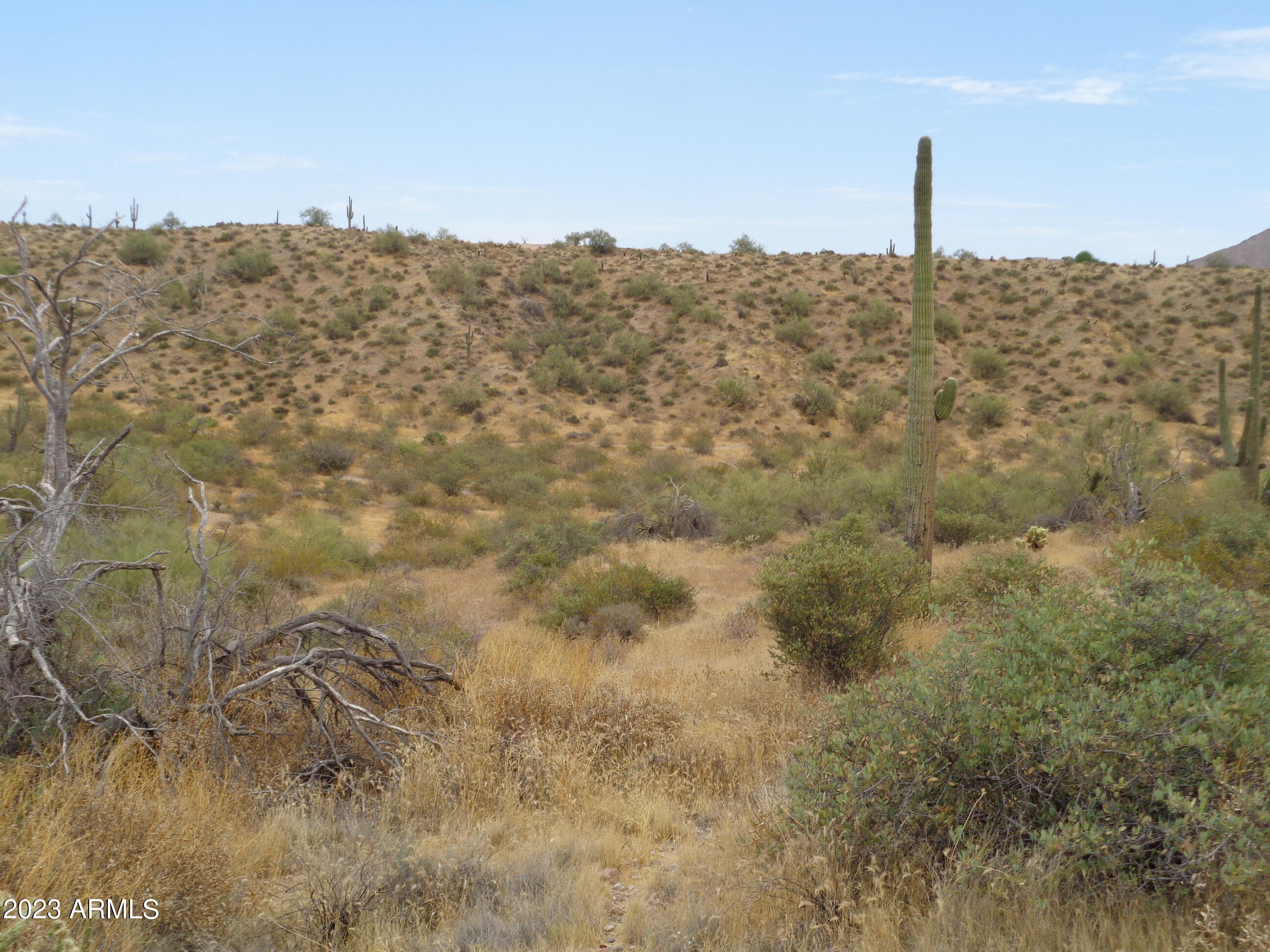 GOLDFIELD RANCH PHASE 1 - Land