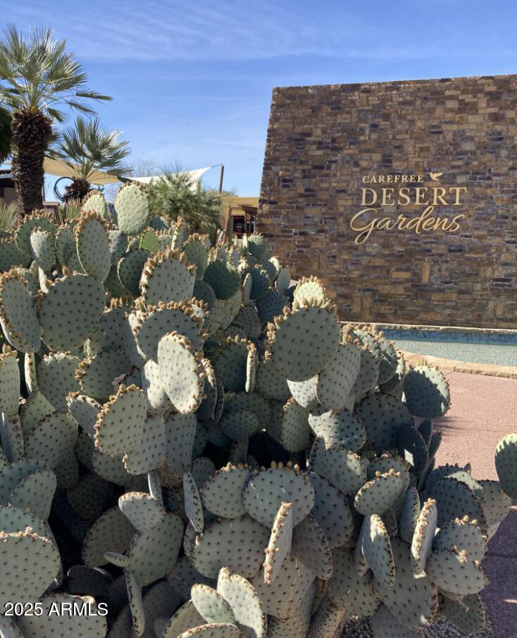 CAREFREE SENTINEL ROCK ESTATES 2 LOT 63-133 - Residential