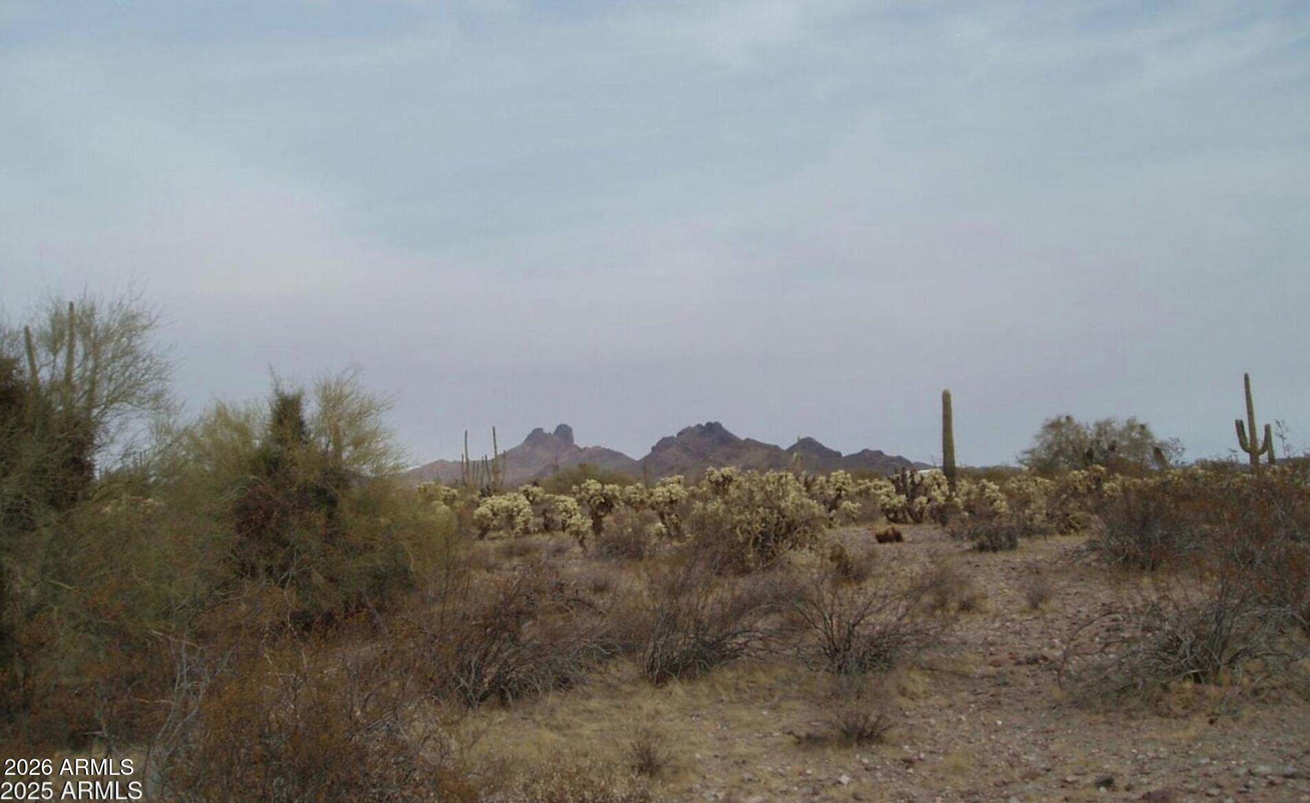 Well priced 5-acre parcel in the heart of Whispering Ranch with no flood impact. Enjoy the mountain views, clean air, dark skies at night and the peace and quiet of this remote pristine desert subdivision. Planned subdivisions to the south, roadways through the area, a huge aquifer underground and affordable pricing (for now) make this area attractive as an investment in the future as the area continues to grow. Get you piece of land now as prices are rising and this one won't last long.