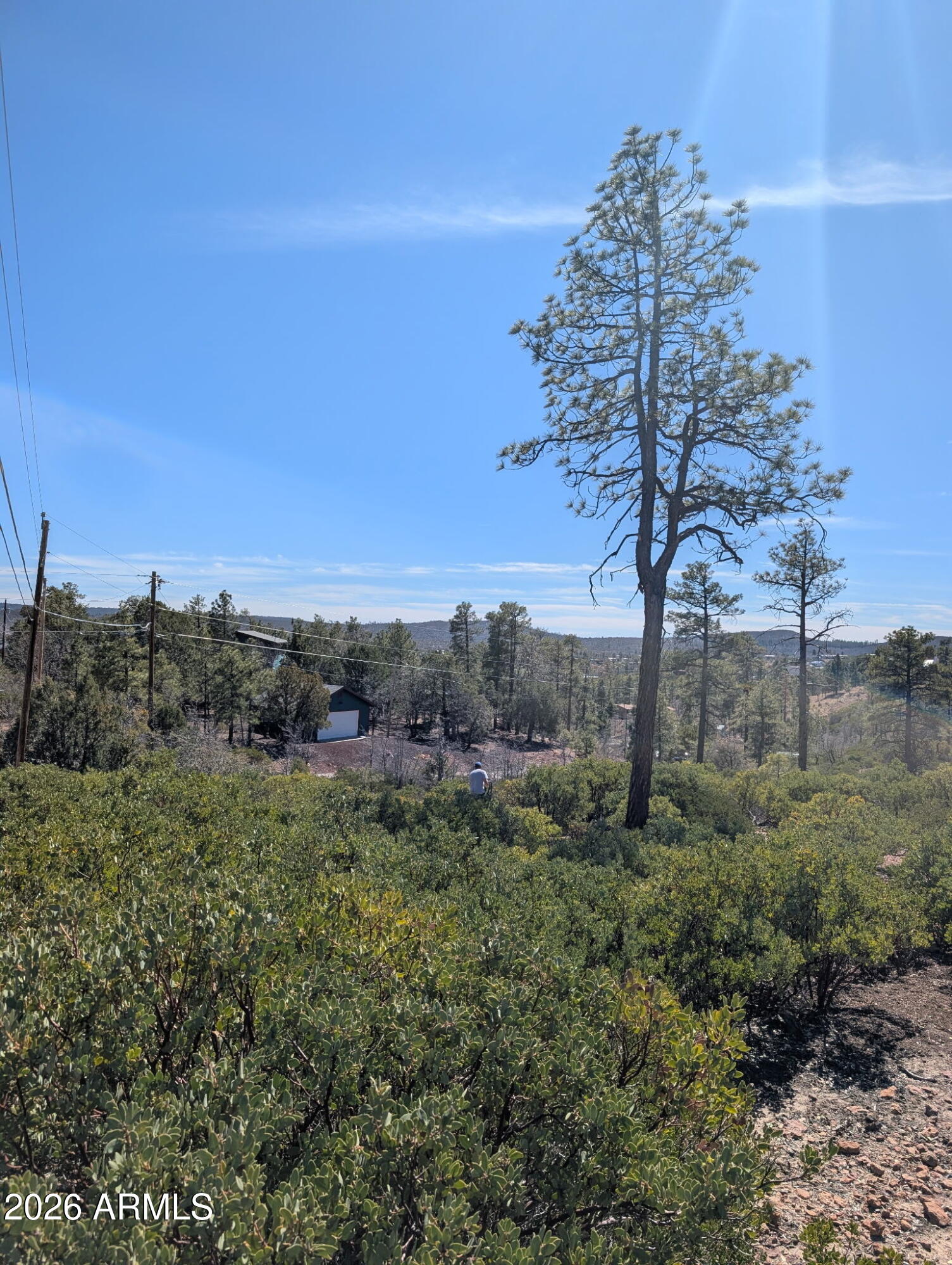 TIMBERLAND ACRES - Land