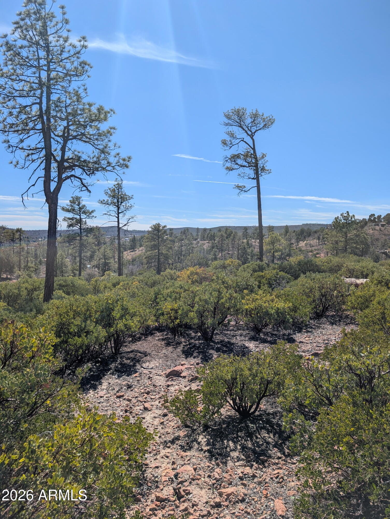 TIMBERLAND ACRES - Land