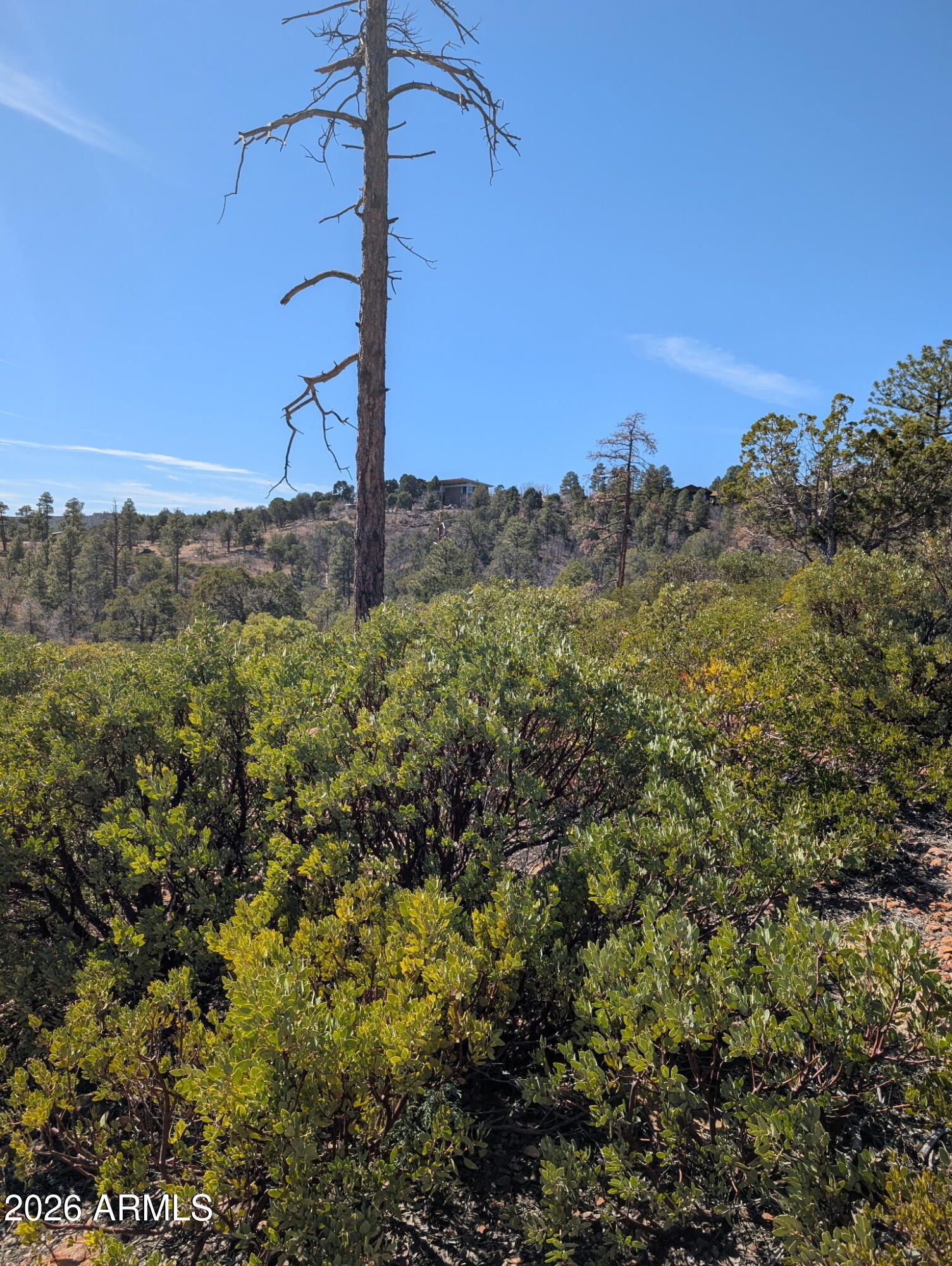 TIMBERLAND ACRES - Land
