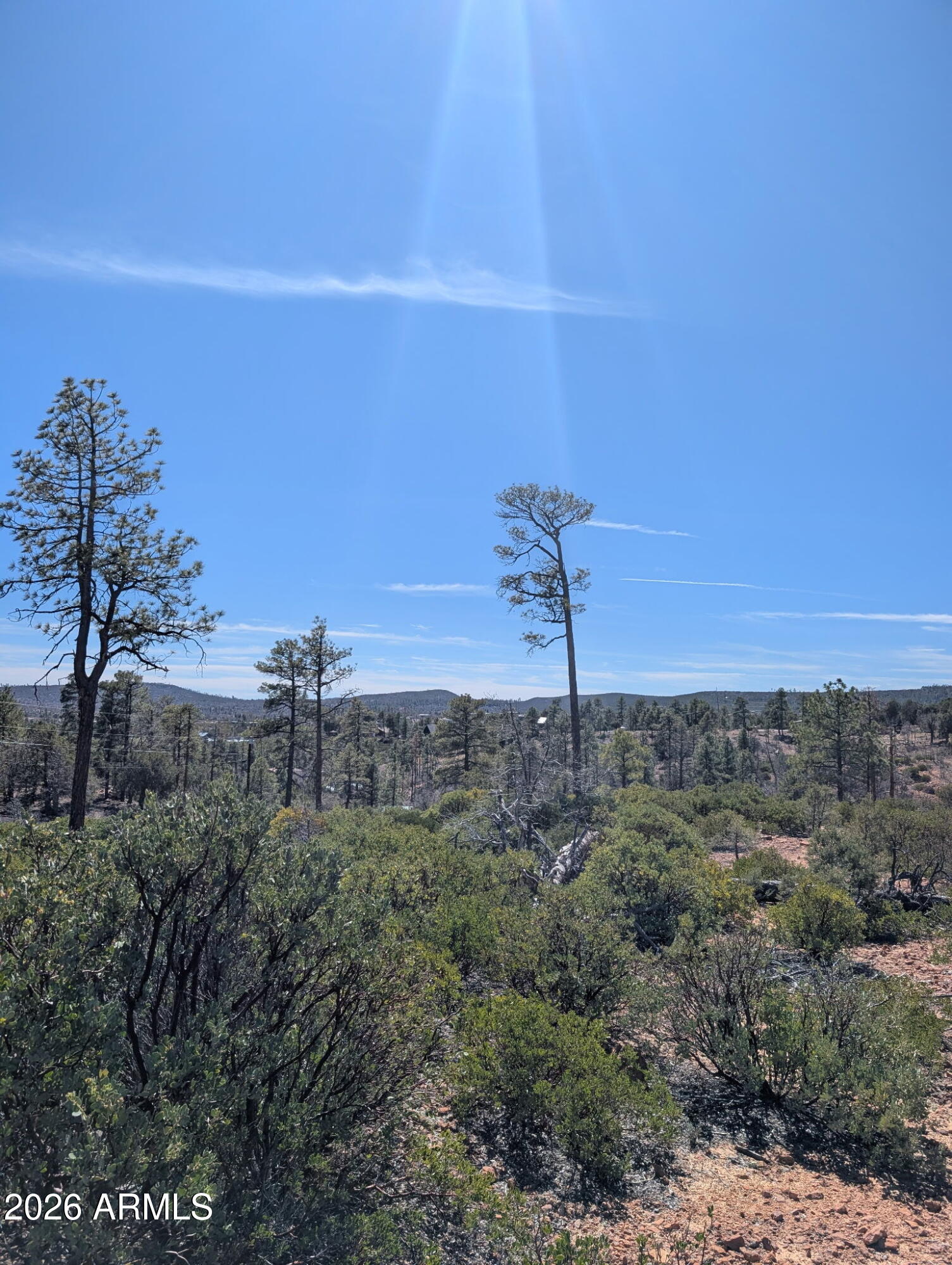 TIMBERLAND ACRES - Land