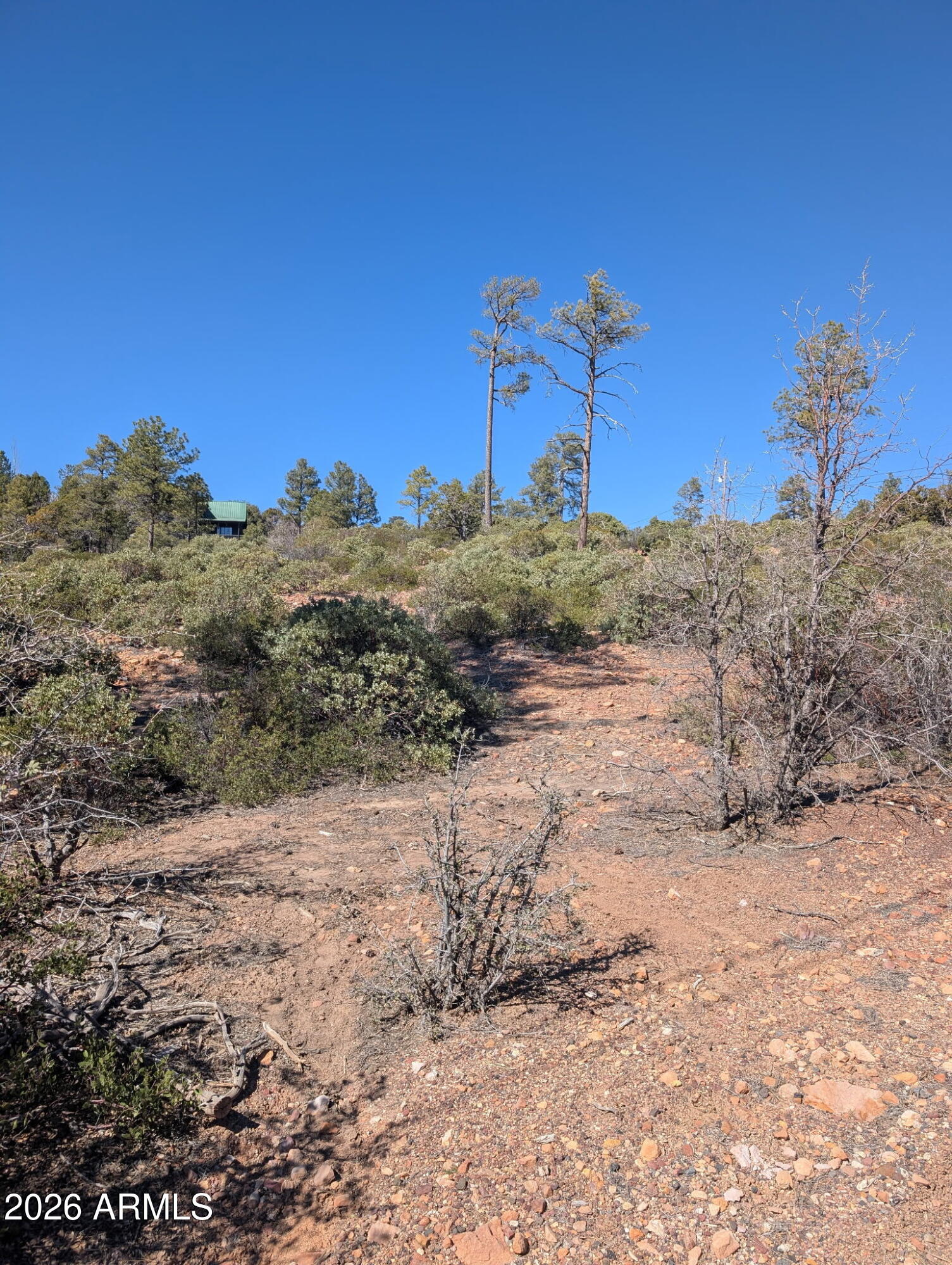 TIMBERLAND ACRES - Land