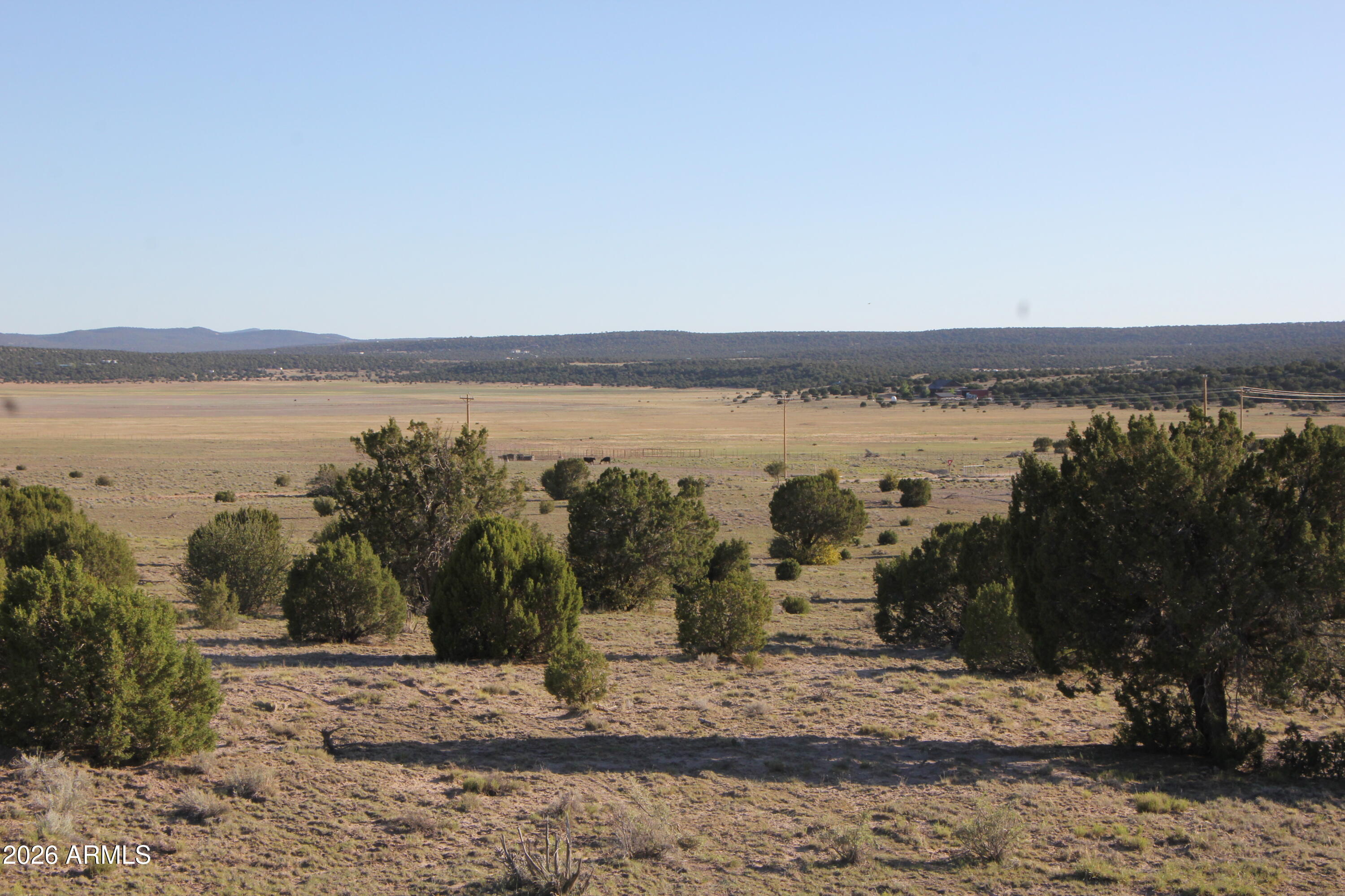 Own your piece of Arizona's beautiful high country with this outstanding 6.09-acre parcel in Windsor Valley Ranch. Offering breathtaking long-range views, wide-open spaces, and plenty of room to build, this property is ideal for your dream home, cabin retreat, horse property, or weekend getaway. Located in a desirable area with well-maintained roads and attractive homes nearby, this parcel provides easy year-round access while maintaining the privacy and tranquility of country living. The gently rolling terrain offers multiple building sites with panoramic views of the surrounding landscape.Power is on property line, and the property offers an excellent combination of accessibility, natural beauty, and investment potential.