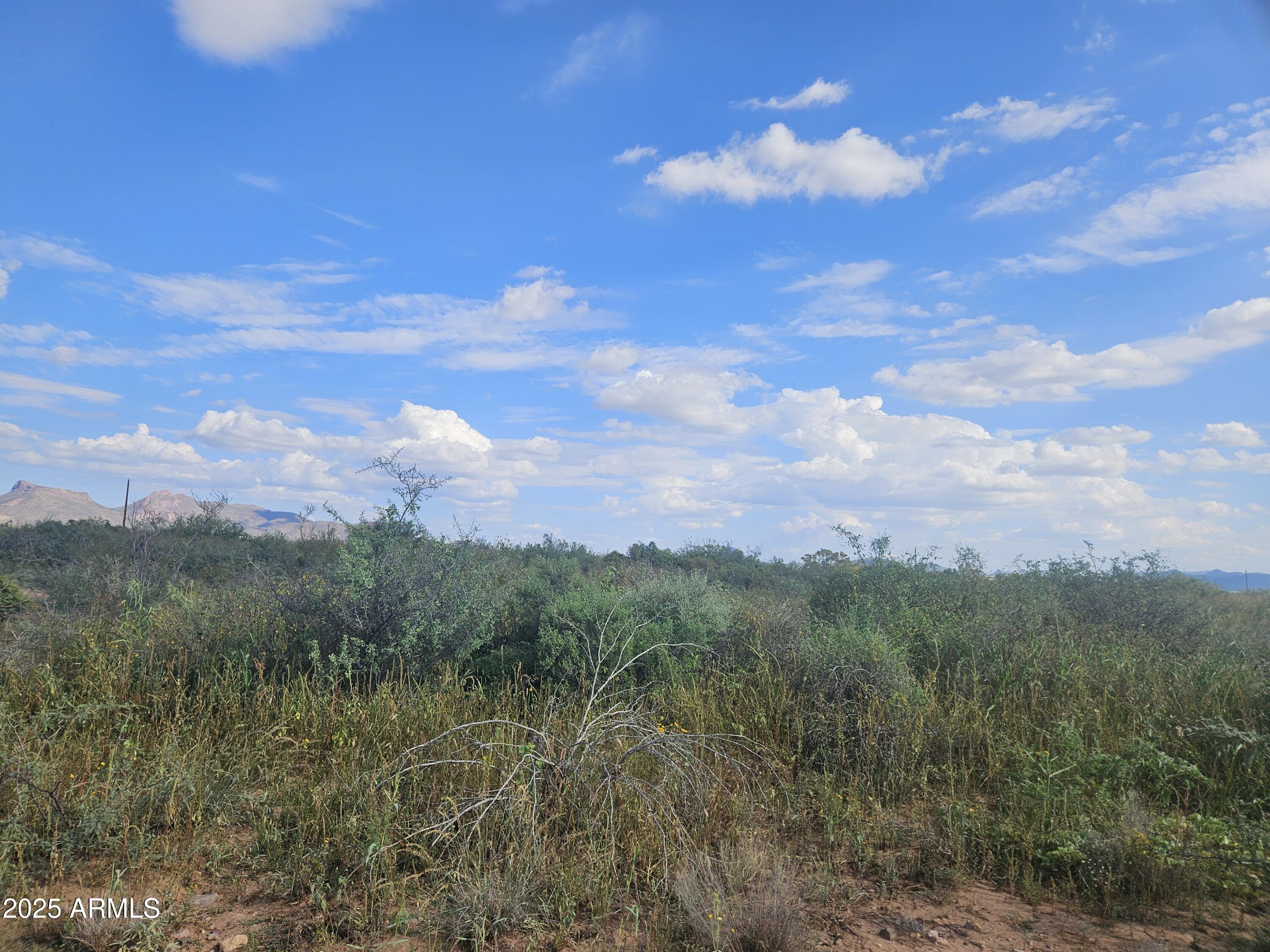 COCHISE COLLEGE PARK 9 - Land