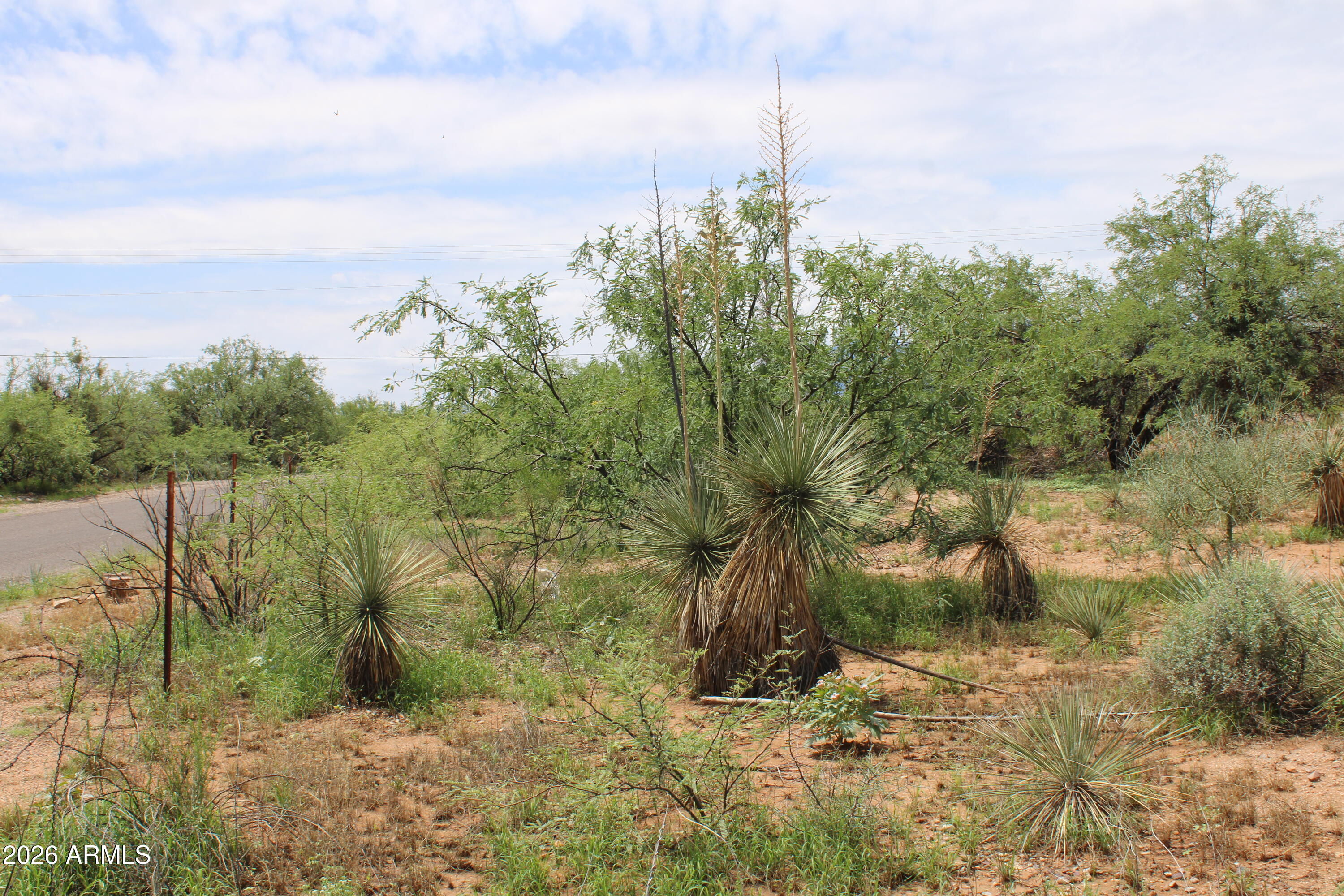 MOUNTAIN MESAS EAST - Land