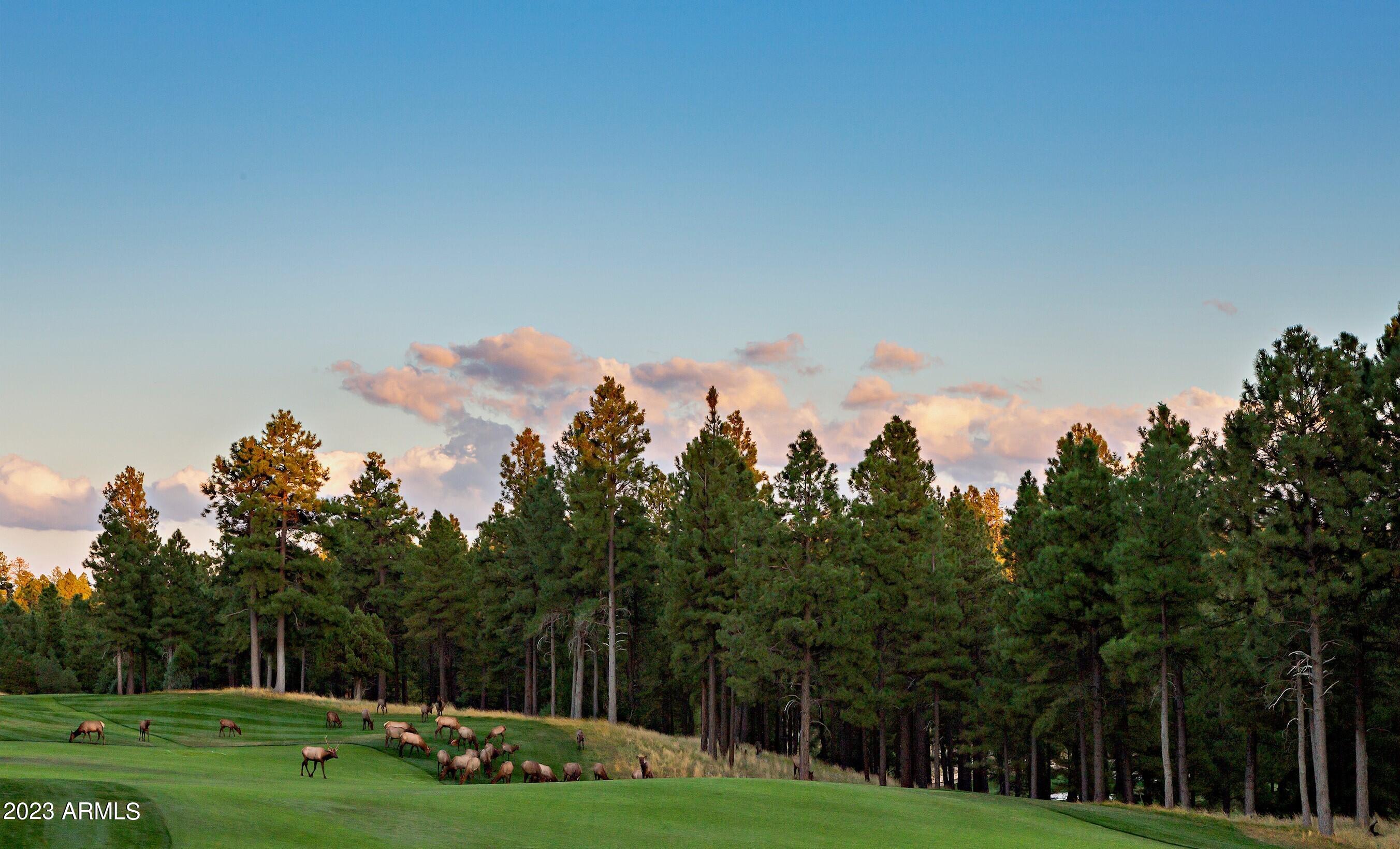 Pine Canyon - Residential