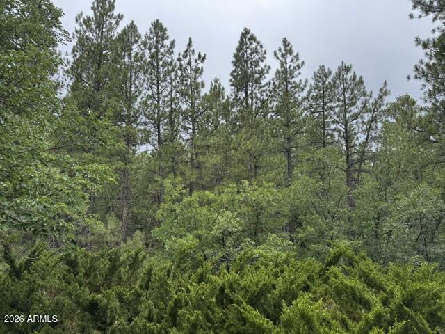 PINEWOOD 9 - Residential