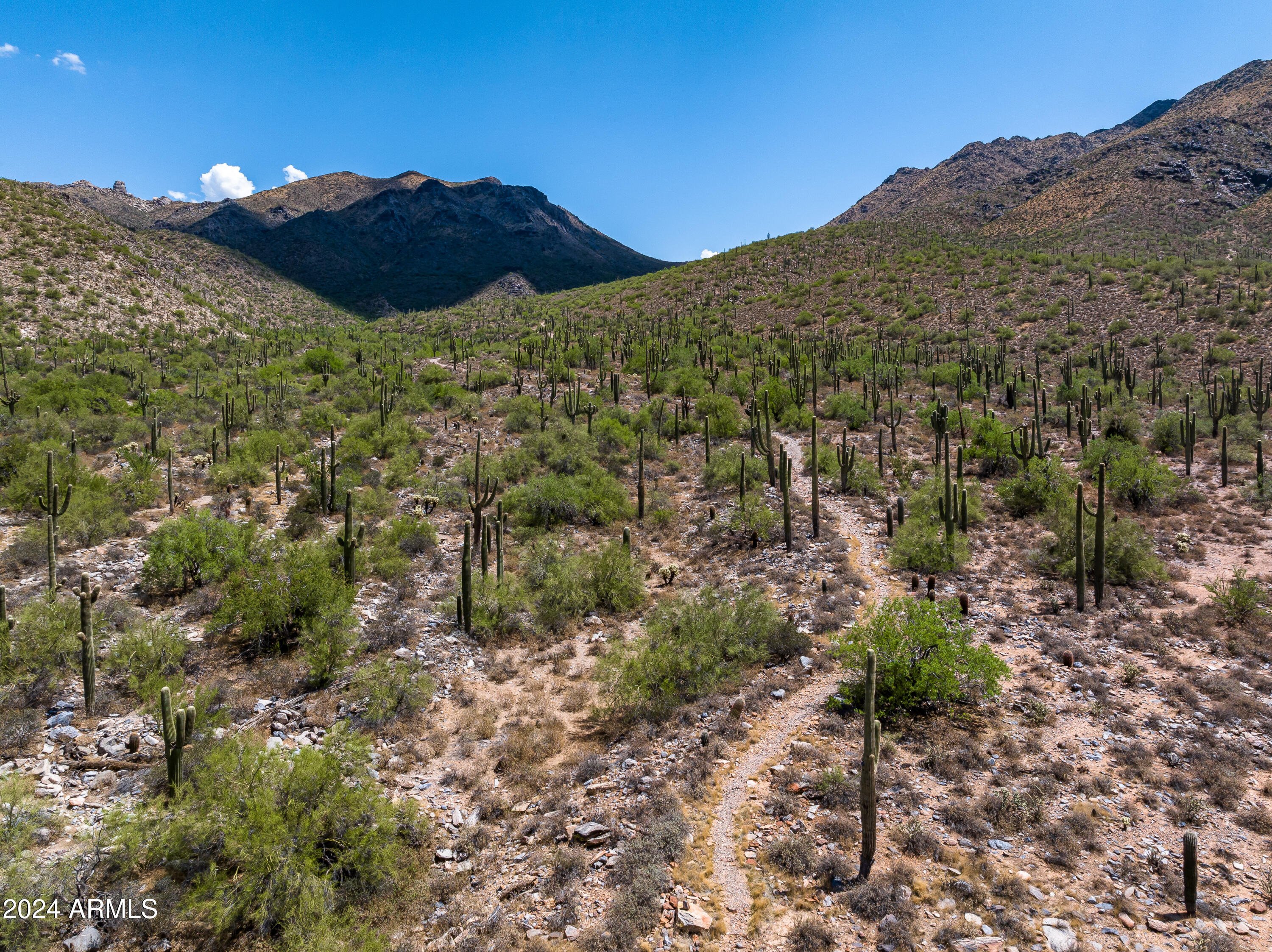 Silverleaf at DC Ranch - Residential
