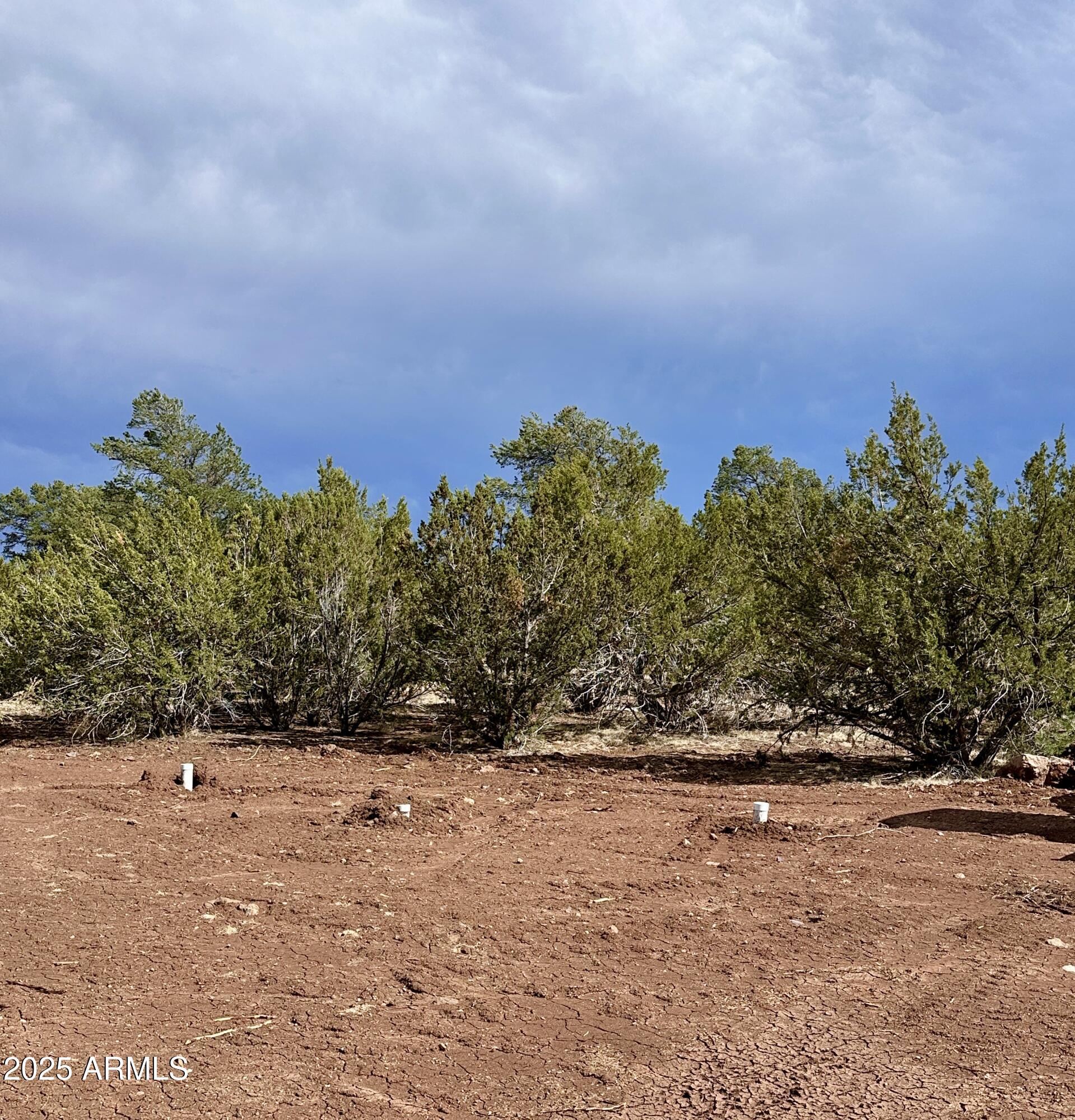 APACHE WOODLAND ESTATES - Land